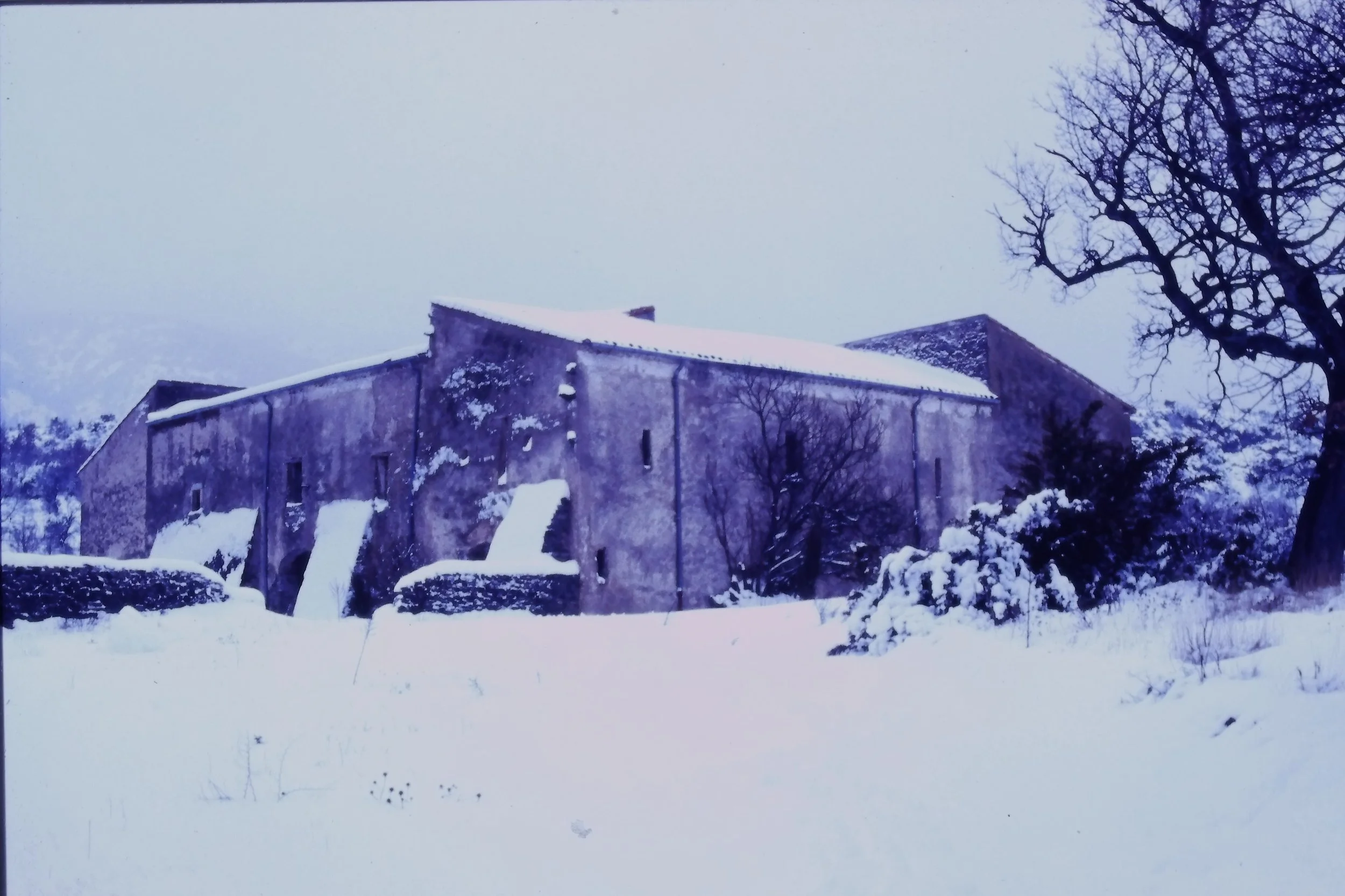 1986