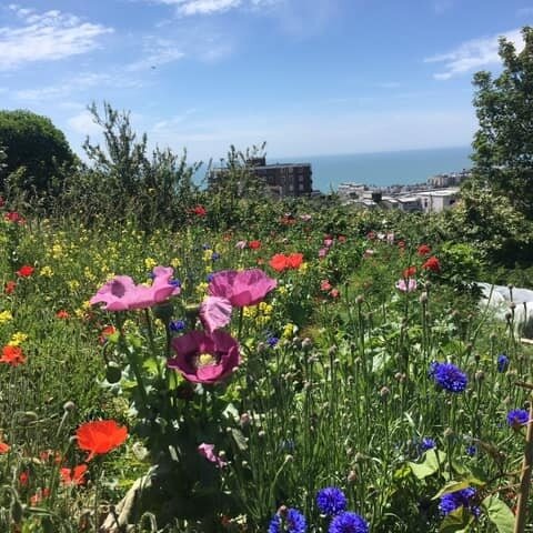 Allotment gardening

The allotment remains available for booked sessions for adults and accompanied children on Mondays, groups can also book a session, Please email food.project@bucfp.org for more info or call 01273 601 211.