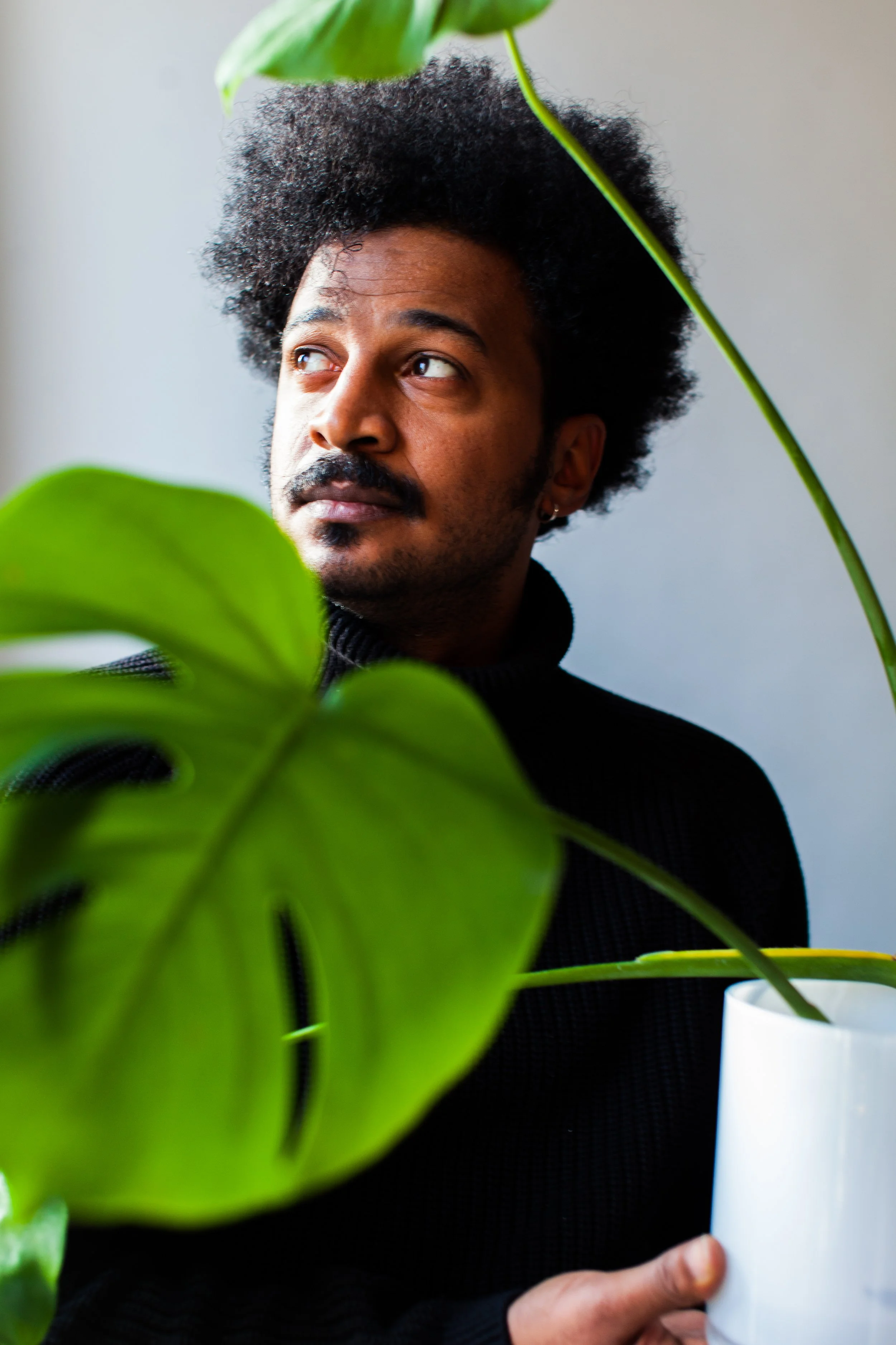 Ahmed Moneka - Rooted Like a Tree