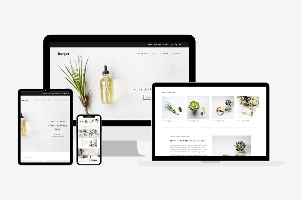18 Premium Squarespace Template Shops You Need to Know