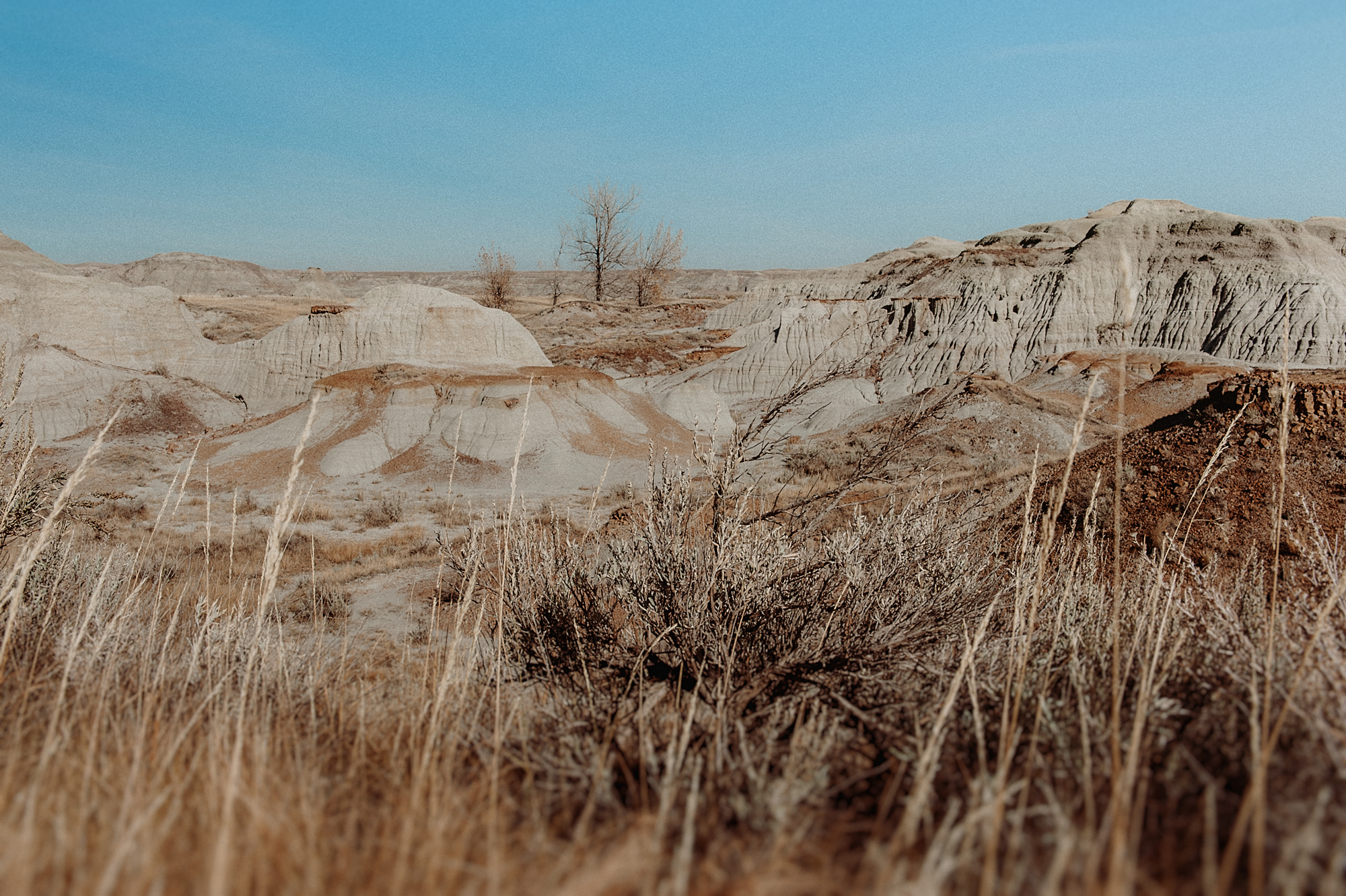 badlands-8.jpg