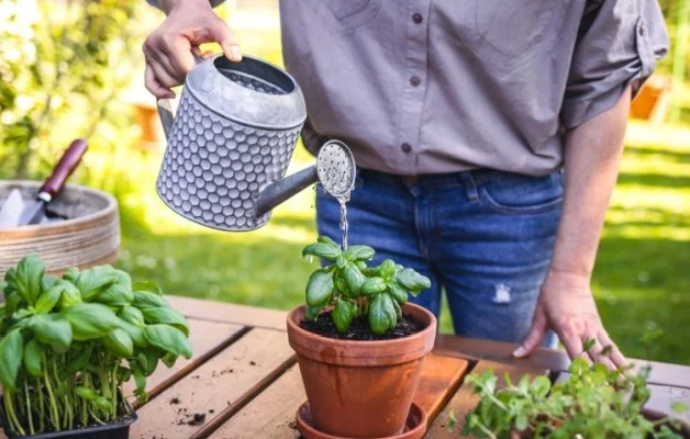 The value of financial planning: 5 fantastic ways tailored advice may help grow your wealth