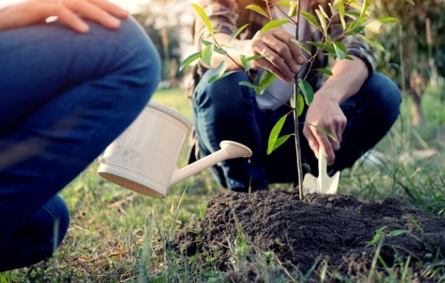 ESG for beginners: The basics you need to know about ESG investing 