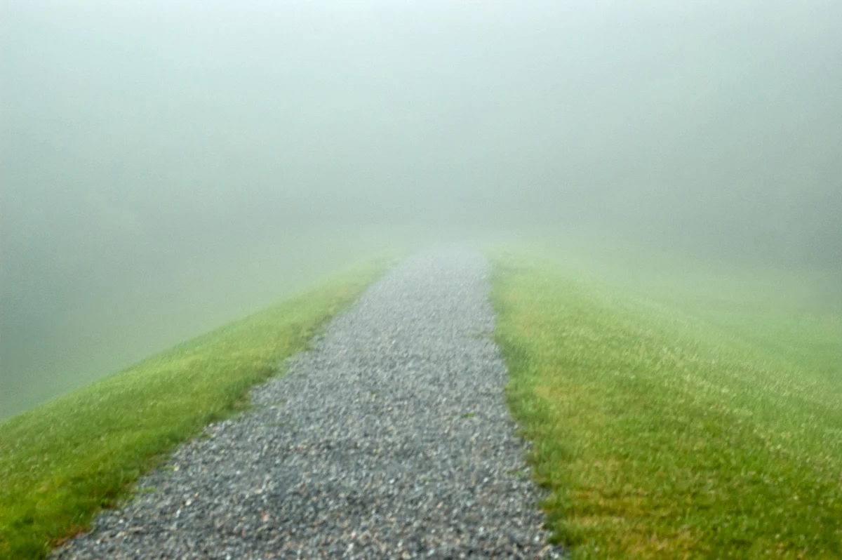 Path