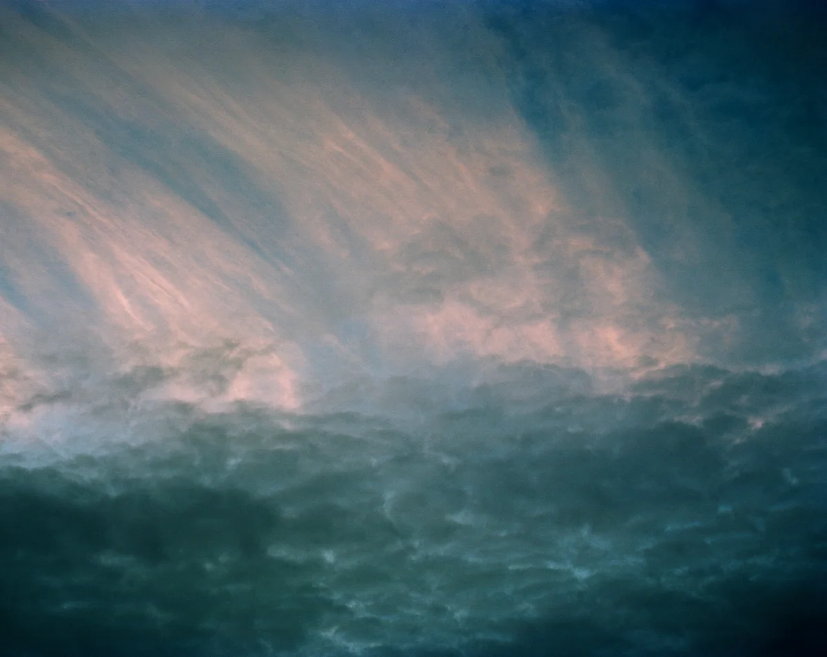 Undulatus