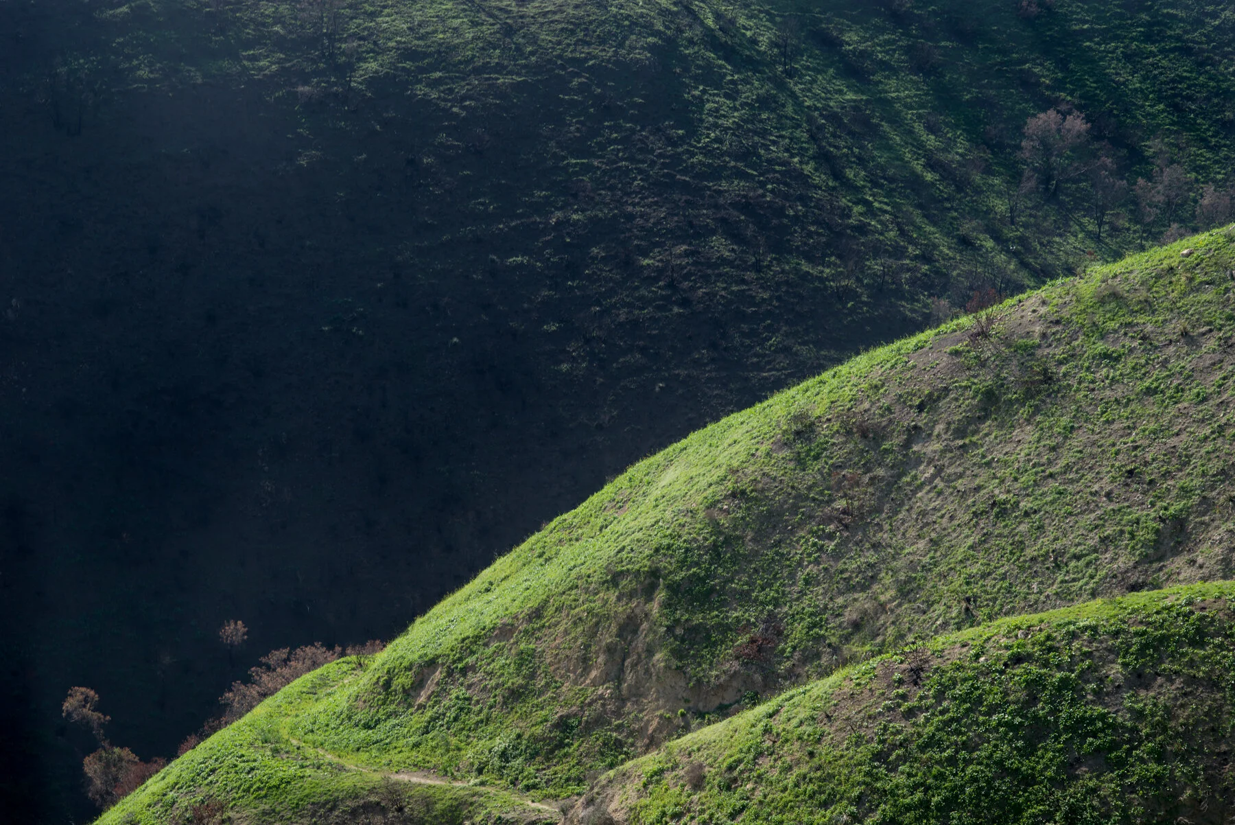 road trip-2142LR.jpeg