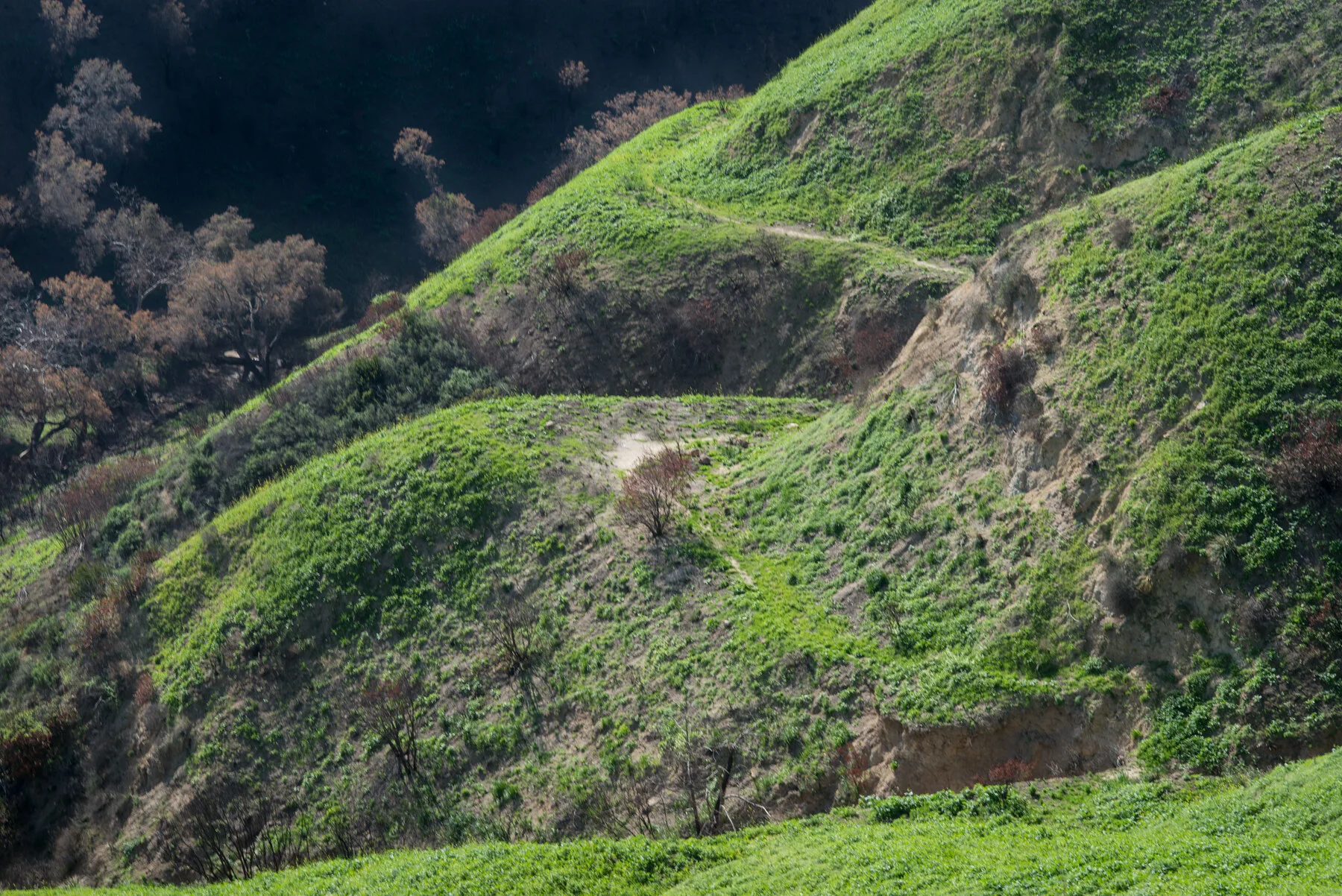 road trip-2135LR.jpeg