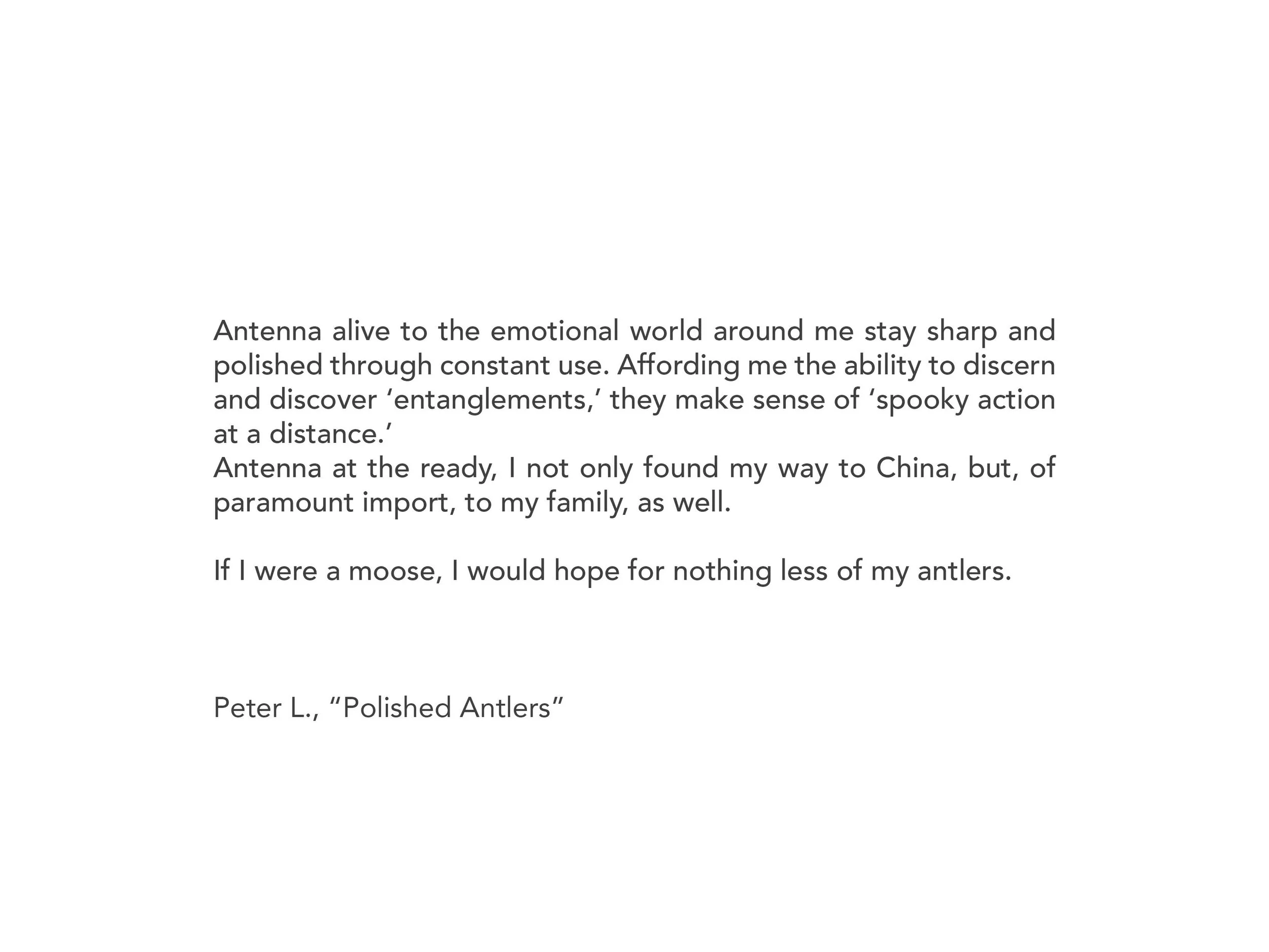 peter.jpg