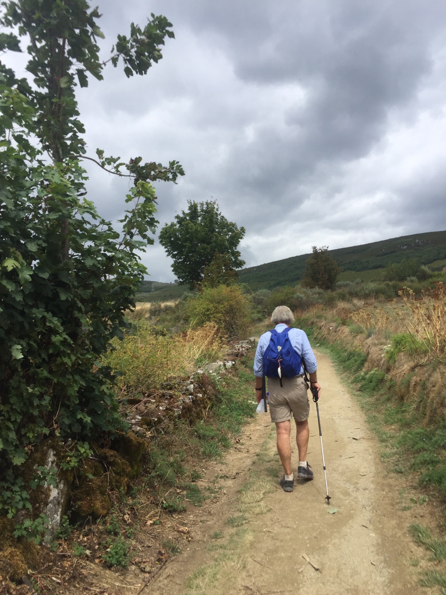 The Ashram | The Camino de Santiago | Spain | Program | Walk — The Ashram