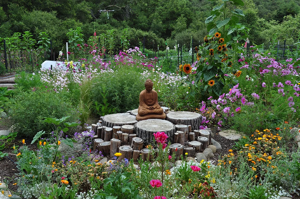 At The Ashram, with all the fresh air, exercise and nutrient-dense food, your appreciation of self will grow, and as a result, your body will find its perfect balance.