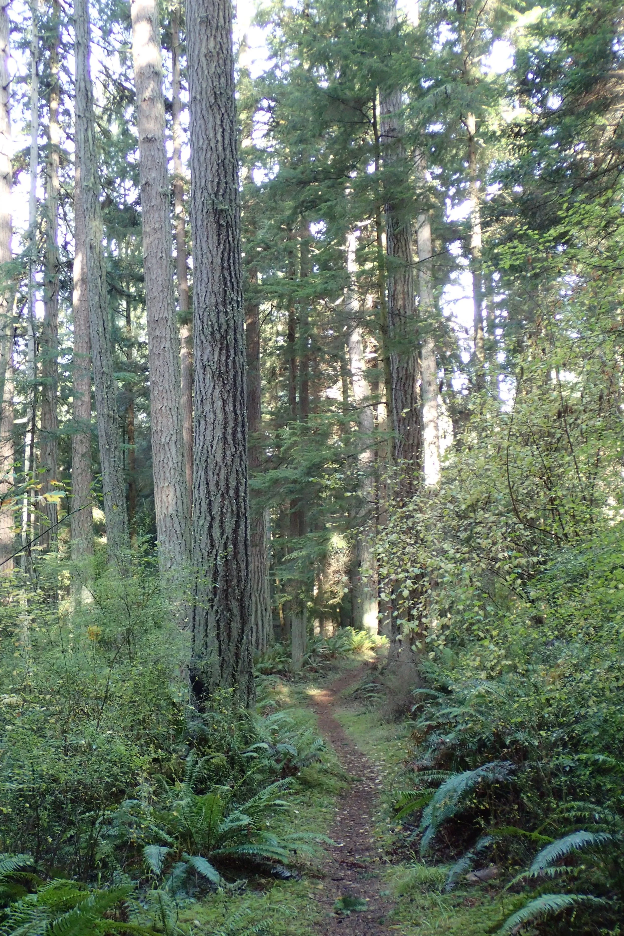 PA220257.jpg