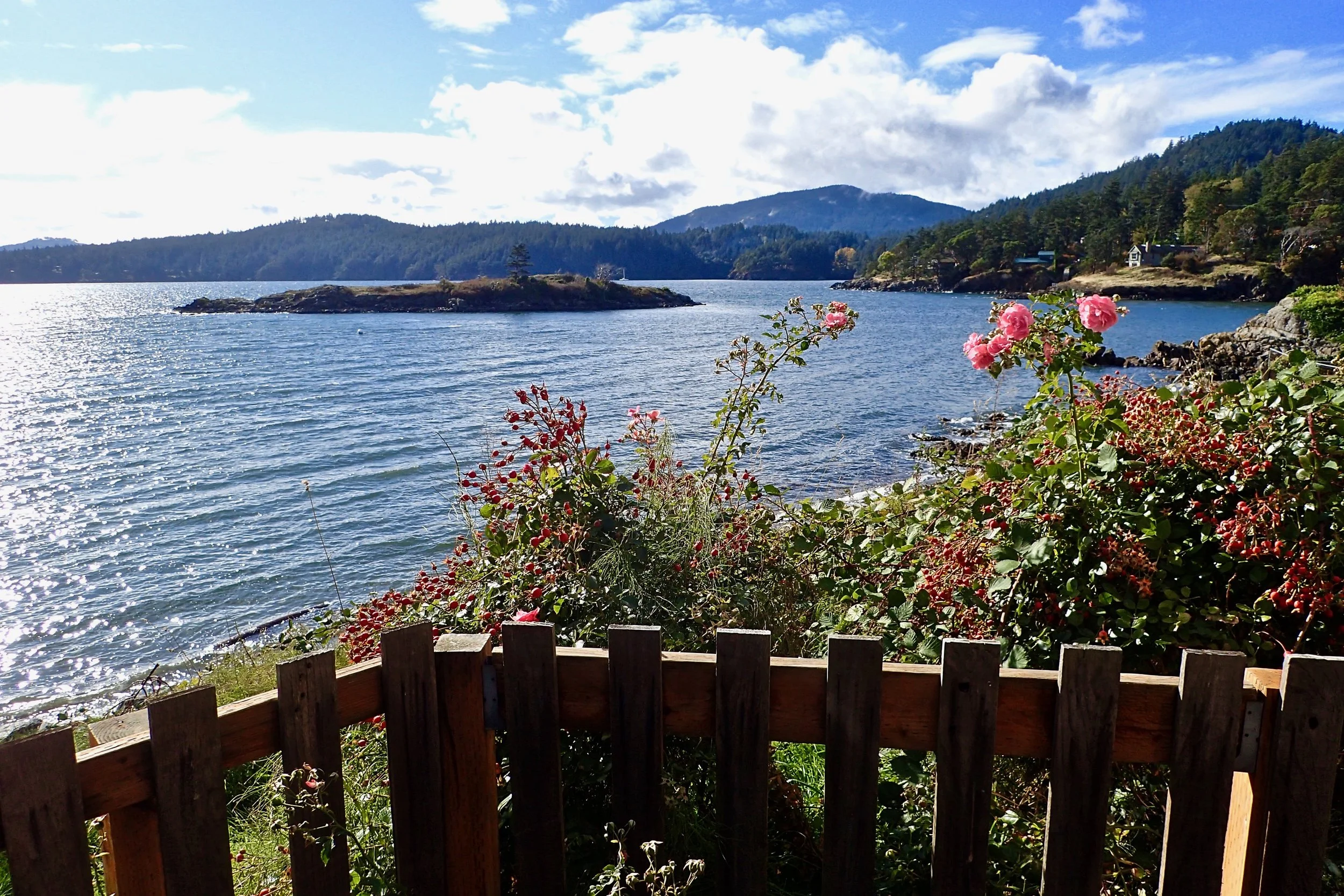 Orcas Island