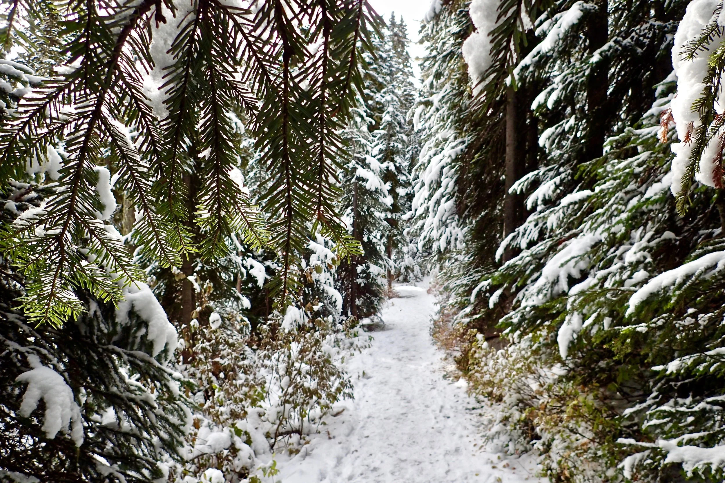 PA150340.jpg