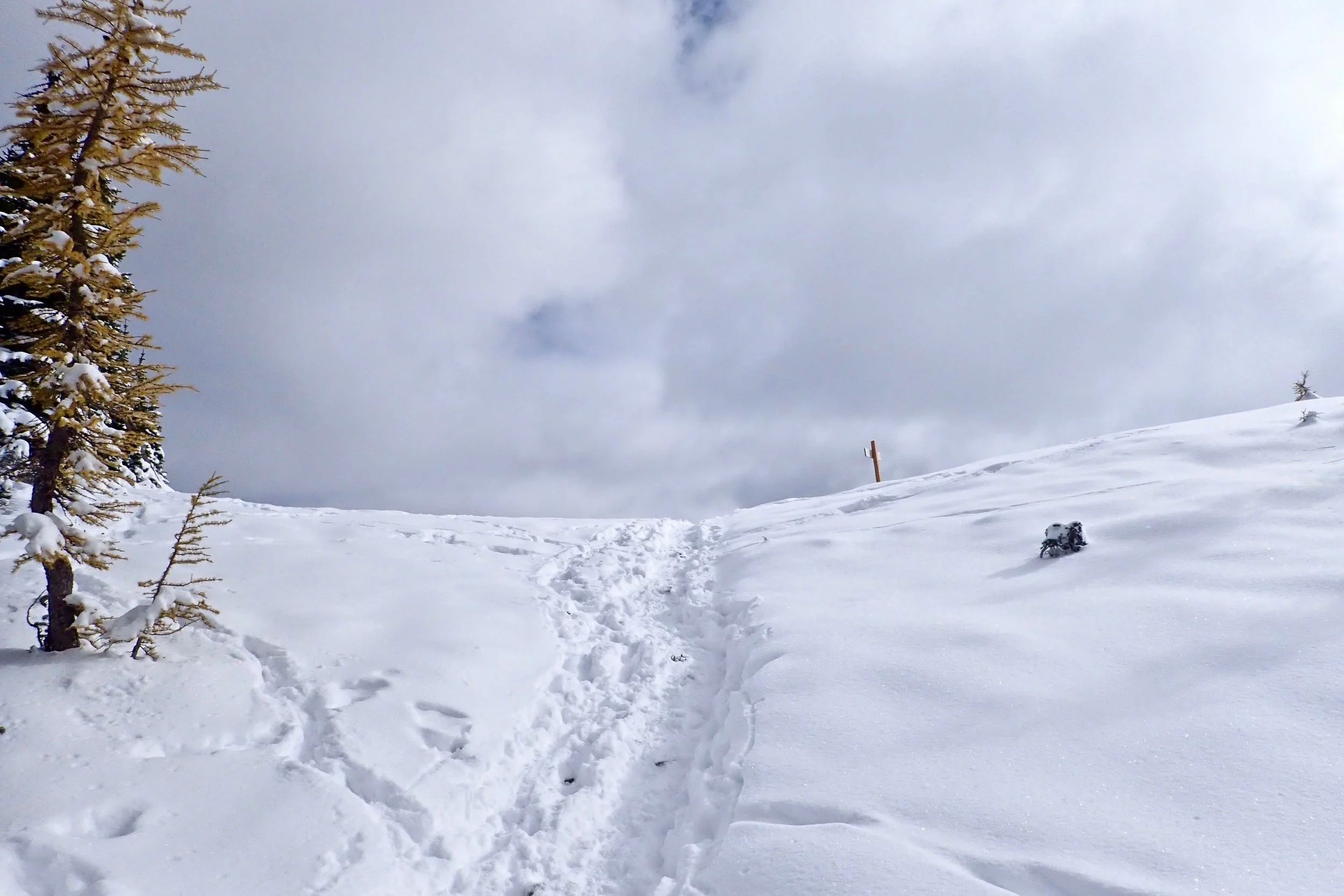 PA150366.jpg