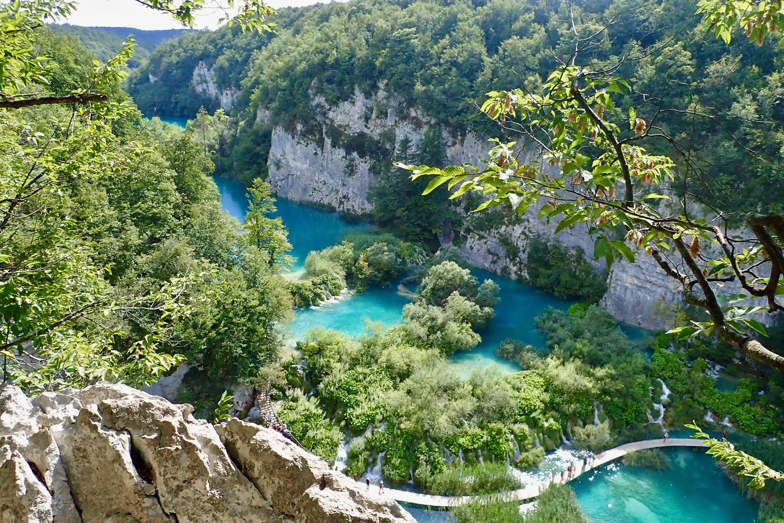 P8010154.jpg