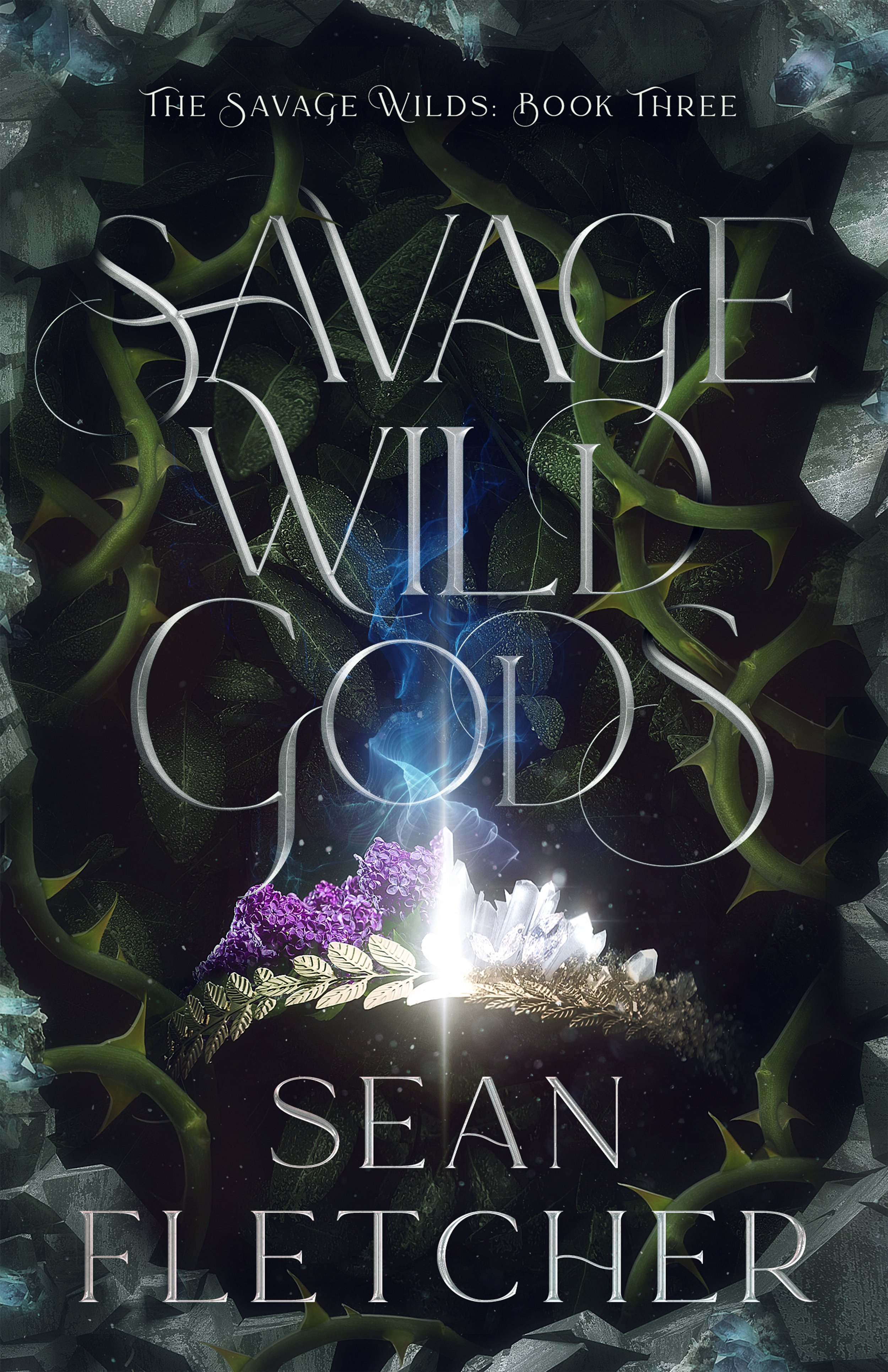 Savage-Wild-Gods-Amazon-Ebook.jpg