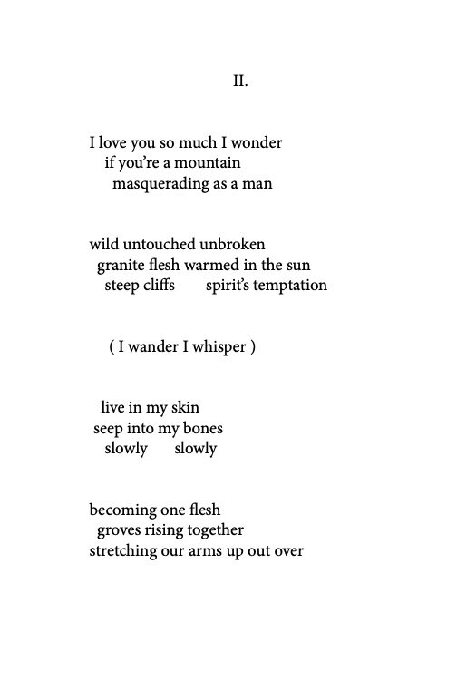 Flesh Is Earth Comment Book Poem IIa.jpg