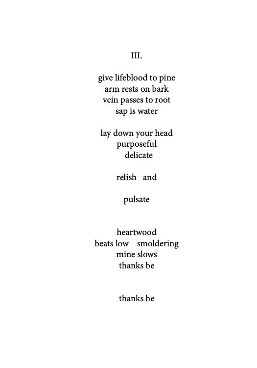Flesh Is Earth Comment Book Poem III.jpg