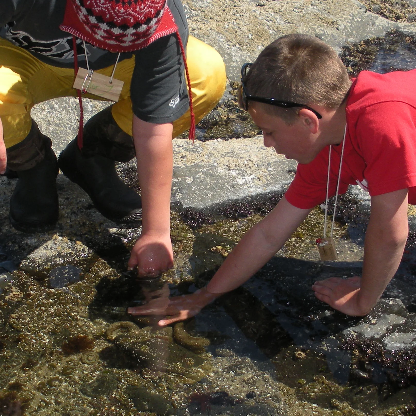 DSCN2095cropped.jpg