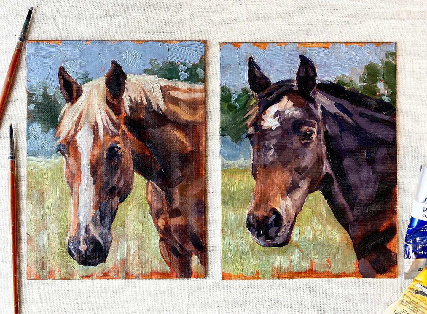 Just finished up this adorable pair of portraits! I absolutely love working on projects like this; each horse gets their own portrait to shine in, and they make the perfect display piece when placed side by side. ⁣
⁣
I went back and found a few other