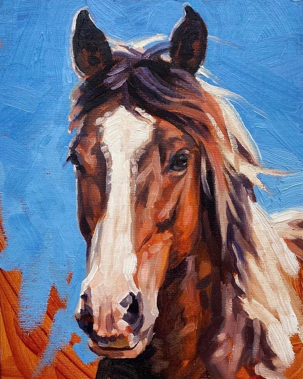 The last of these adorable 6x8&rdquo; portraits found a home over the weekend! This was such a fun exercise in bold brushwork, making confident color decisions, and capturing the horse&rsquo;s expression in the fewest brush marks possible. Which one 