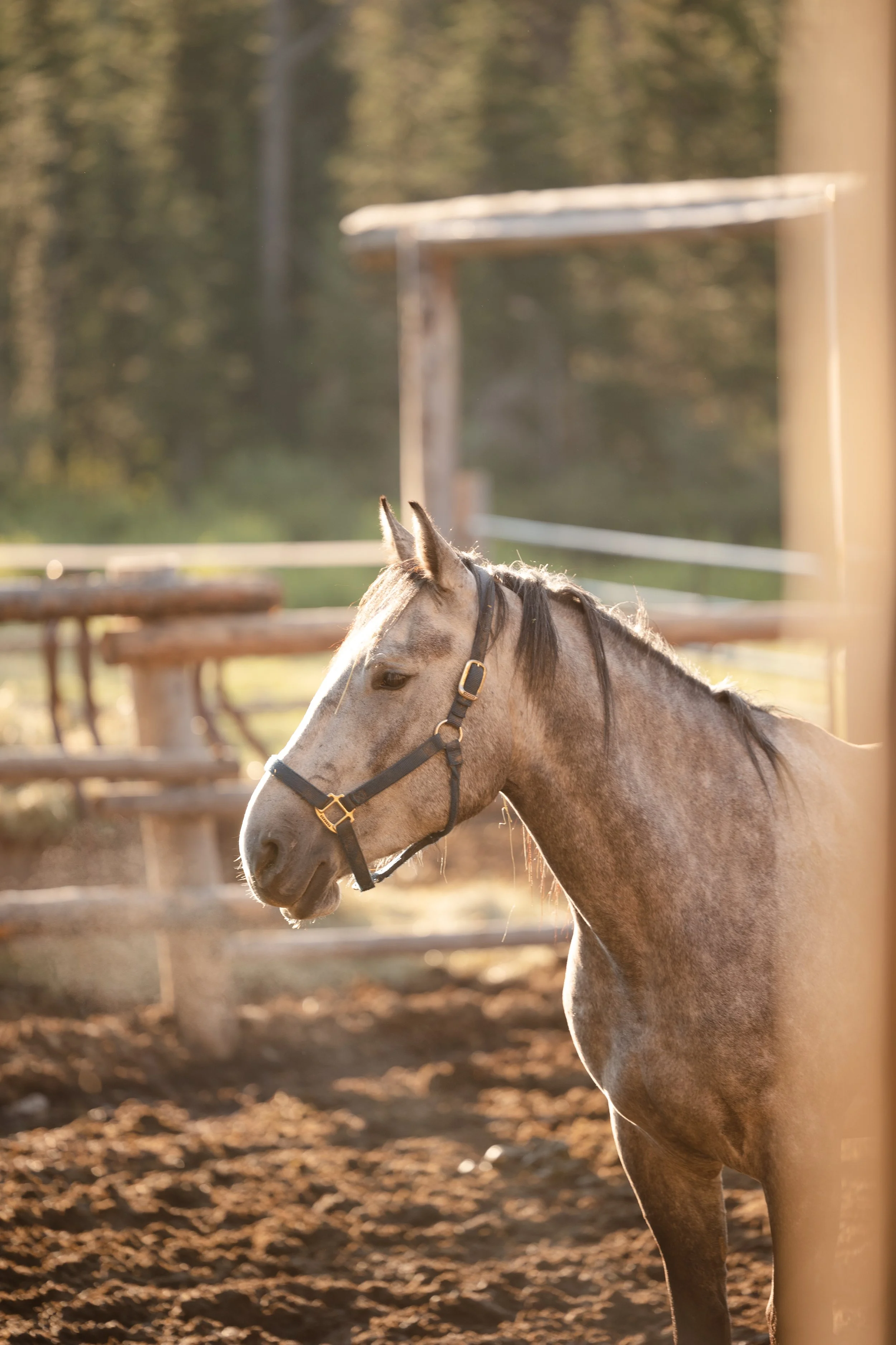 Ranch(53).jpg