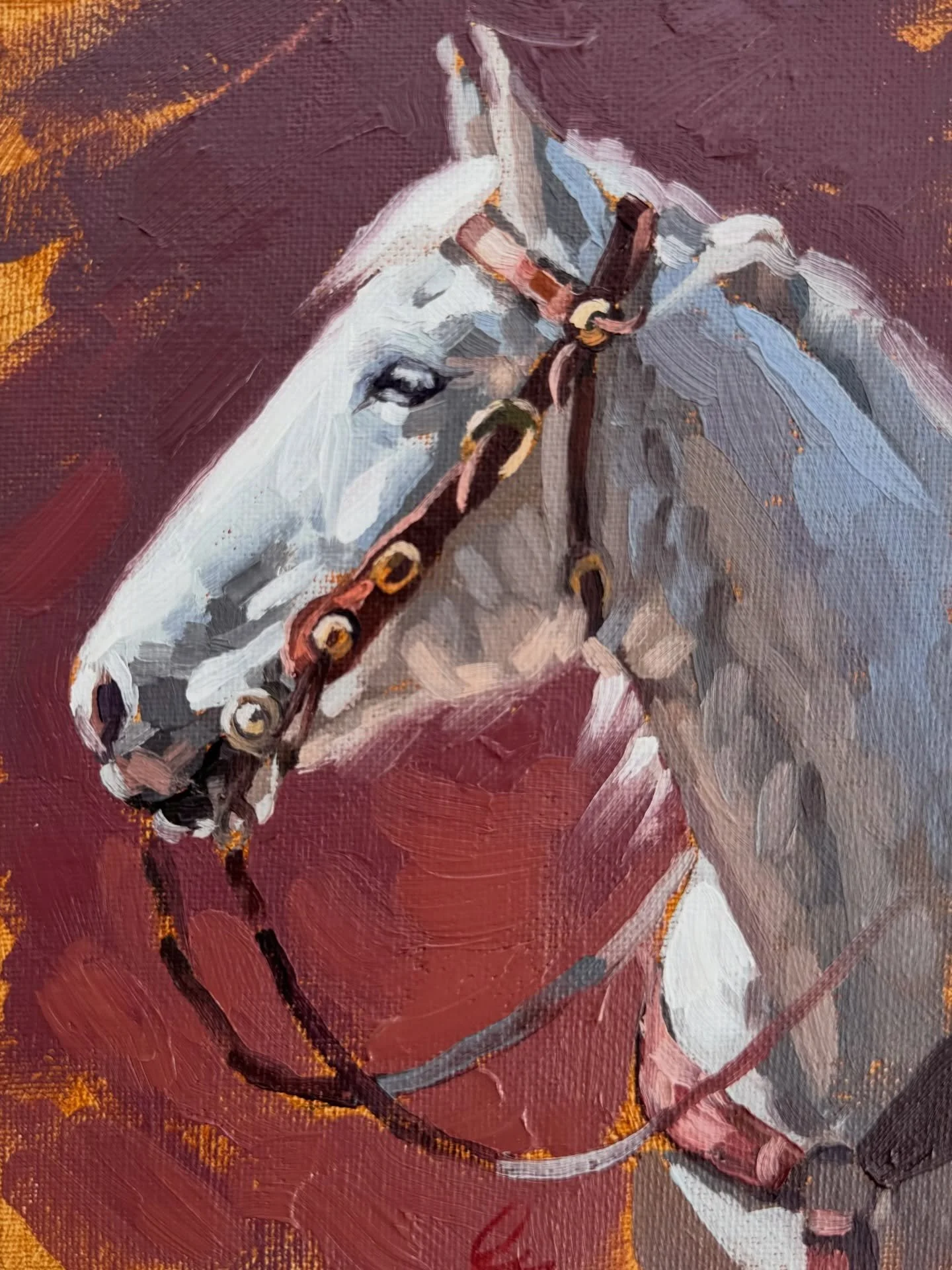 These were a series of 6x8&rdquo; portraits I created for a collection of rodeo paintings last year! I love painting horses at this scale; it makes me really focus on where I&rsquo;m placing each brushstroke and why. 

These paintings have all been s