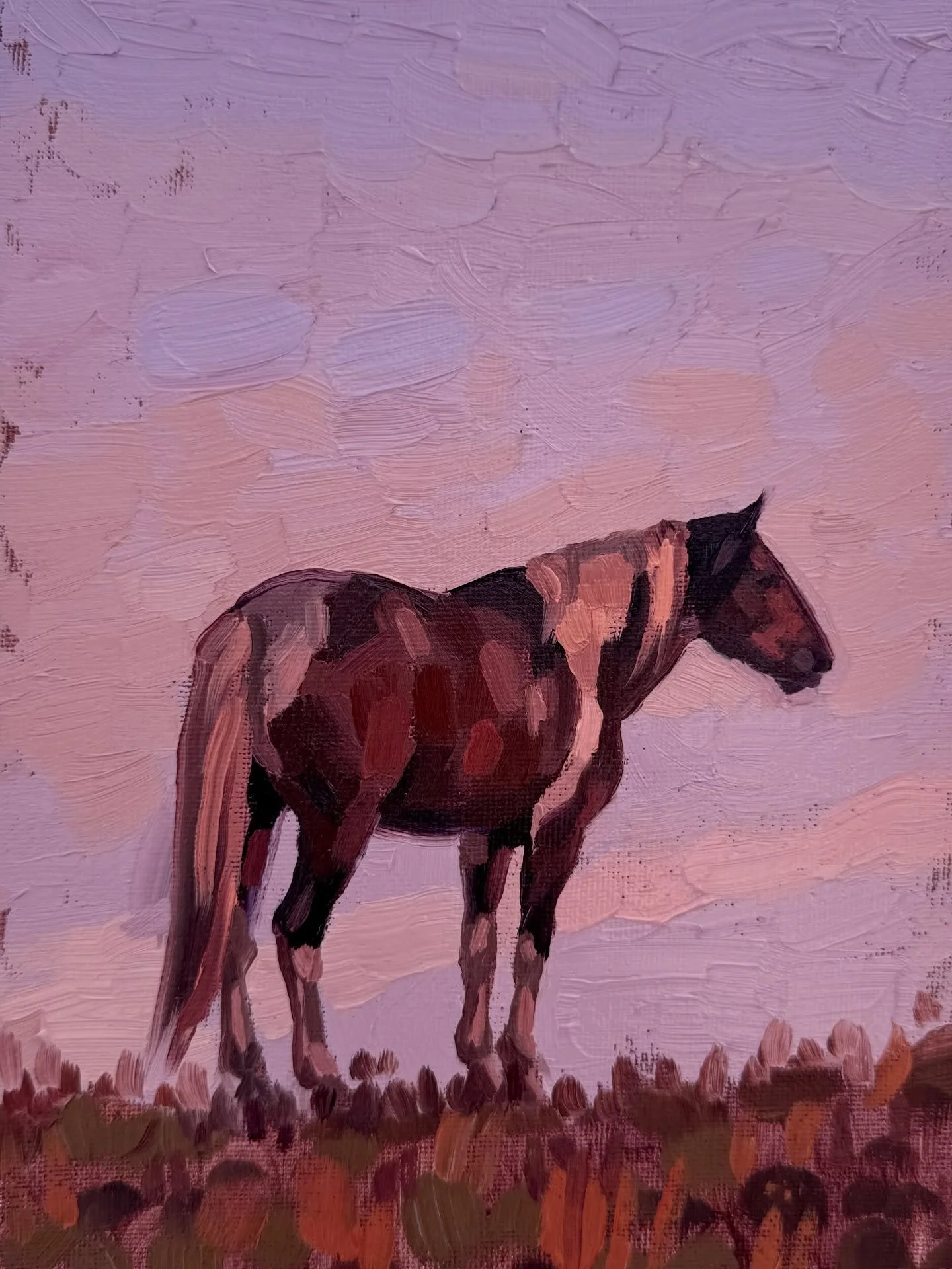 This is the last piece in a small series of lonesome wild horse paintings that I&rsquo;ve been working on - they will all be released to my email subscribers in my mid-March newsletter (along with another larger surprise original work that I have not