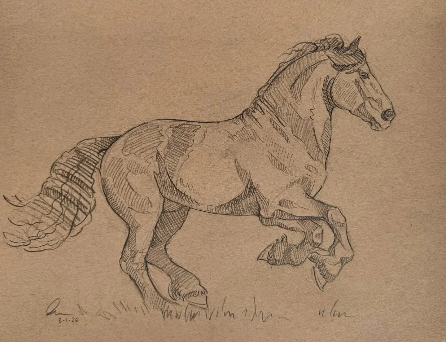 These are some brand new sketches that will be released to my email subscribers this weekend! Make sure you keep an eye on your inbox for the first chance to take home new original works. 📬

#sketchbook #sketch #horsesketch #drawing #horses