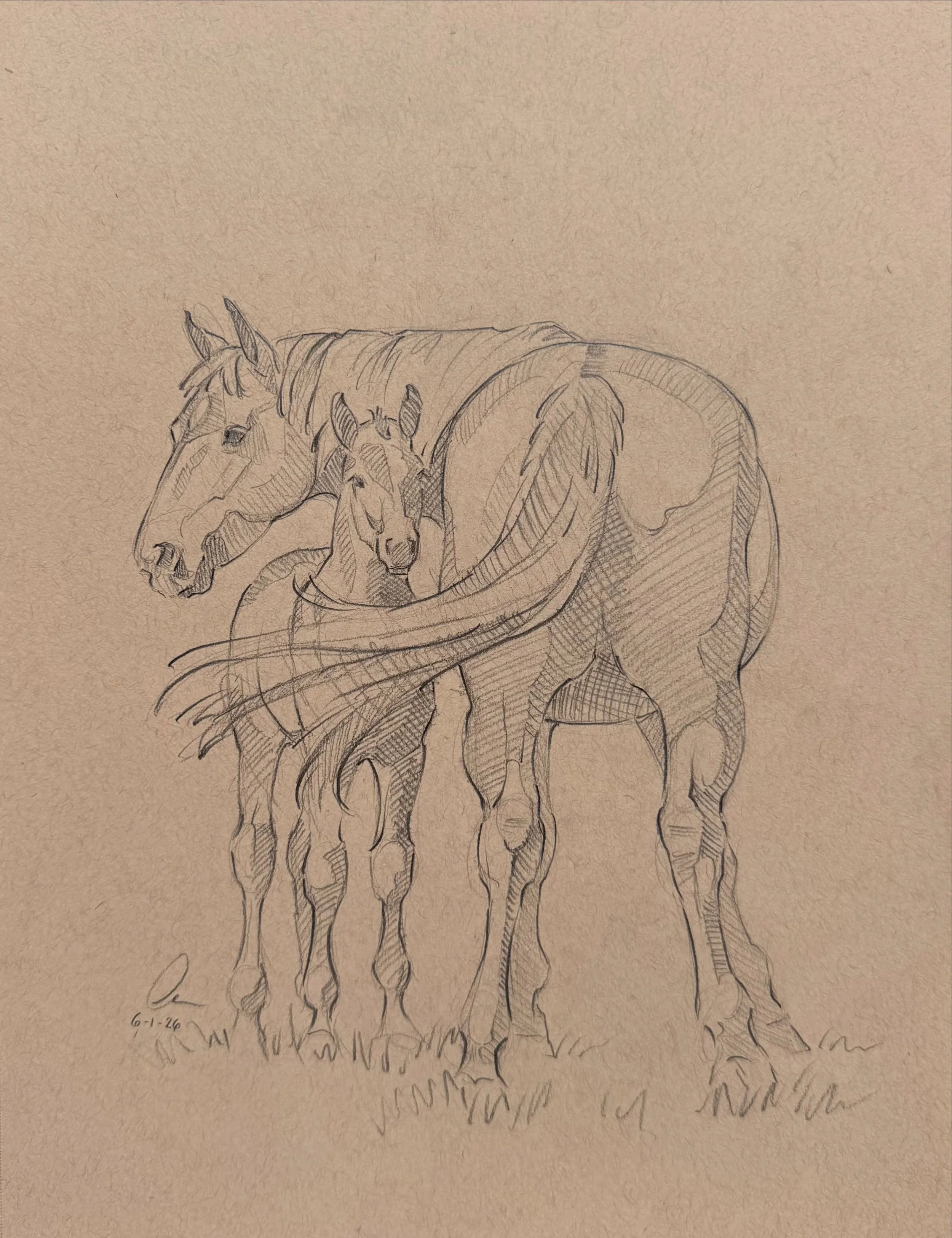 This sweet mama and her foal just went home to one of my long-time collectors! I am unbelievably honored whenever my art is chosen to hang on someone&rsquo;s walls. 🥰

If you would like to be the first to know when new sketches drop in the future, m