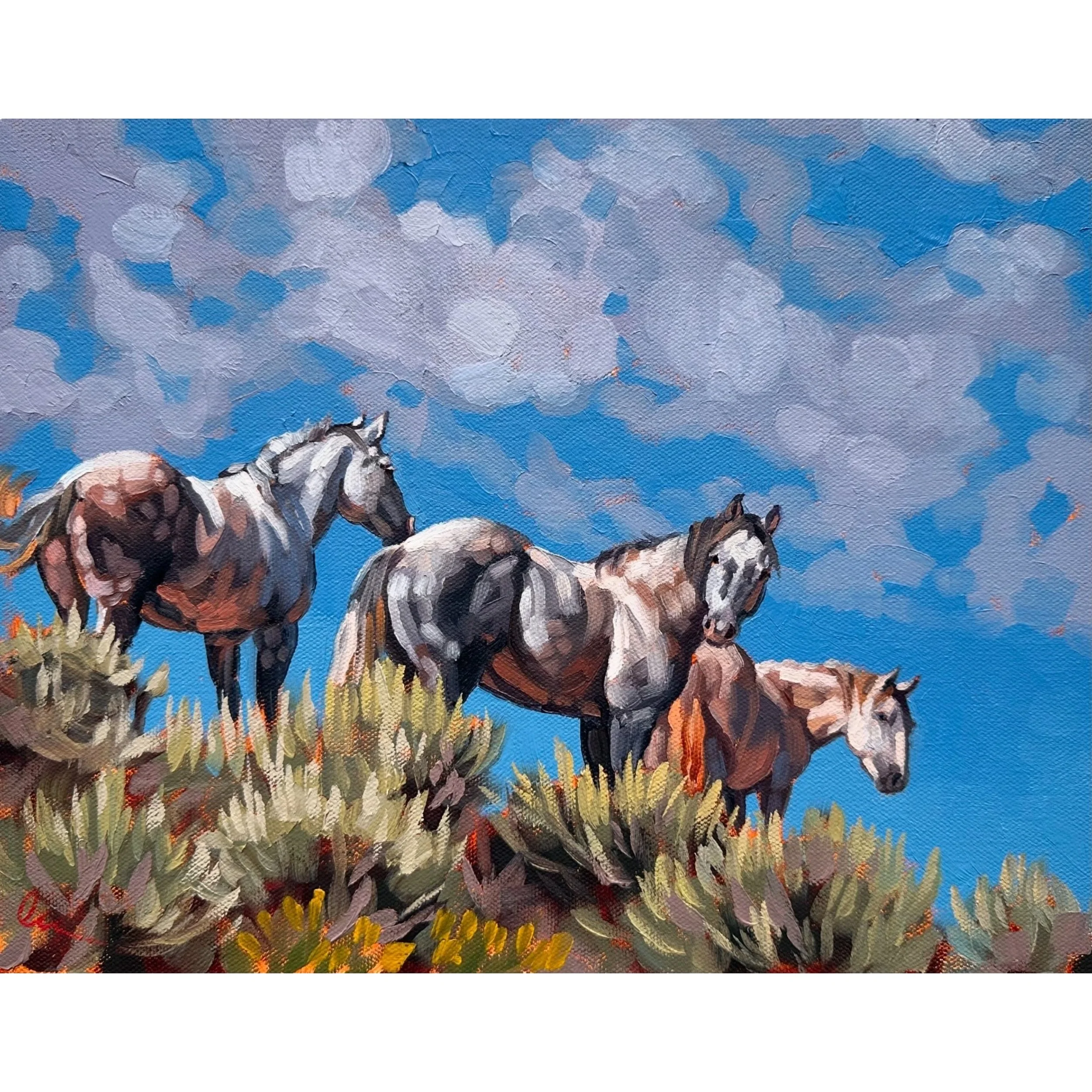 shades of grey square.jpg