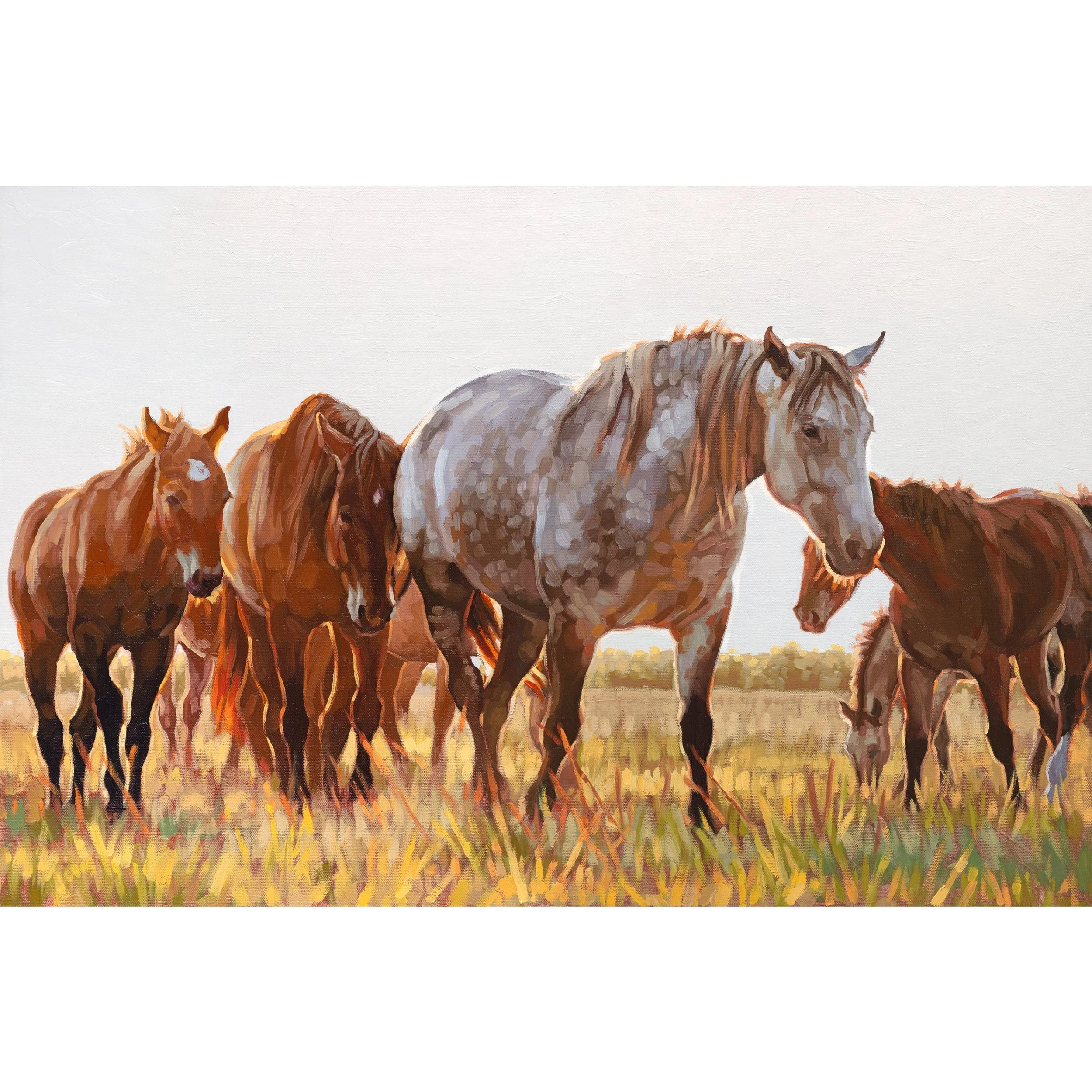 The Broodmares