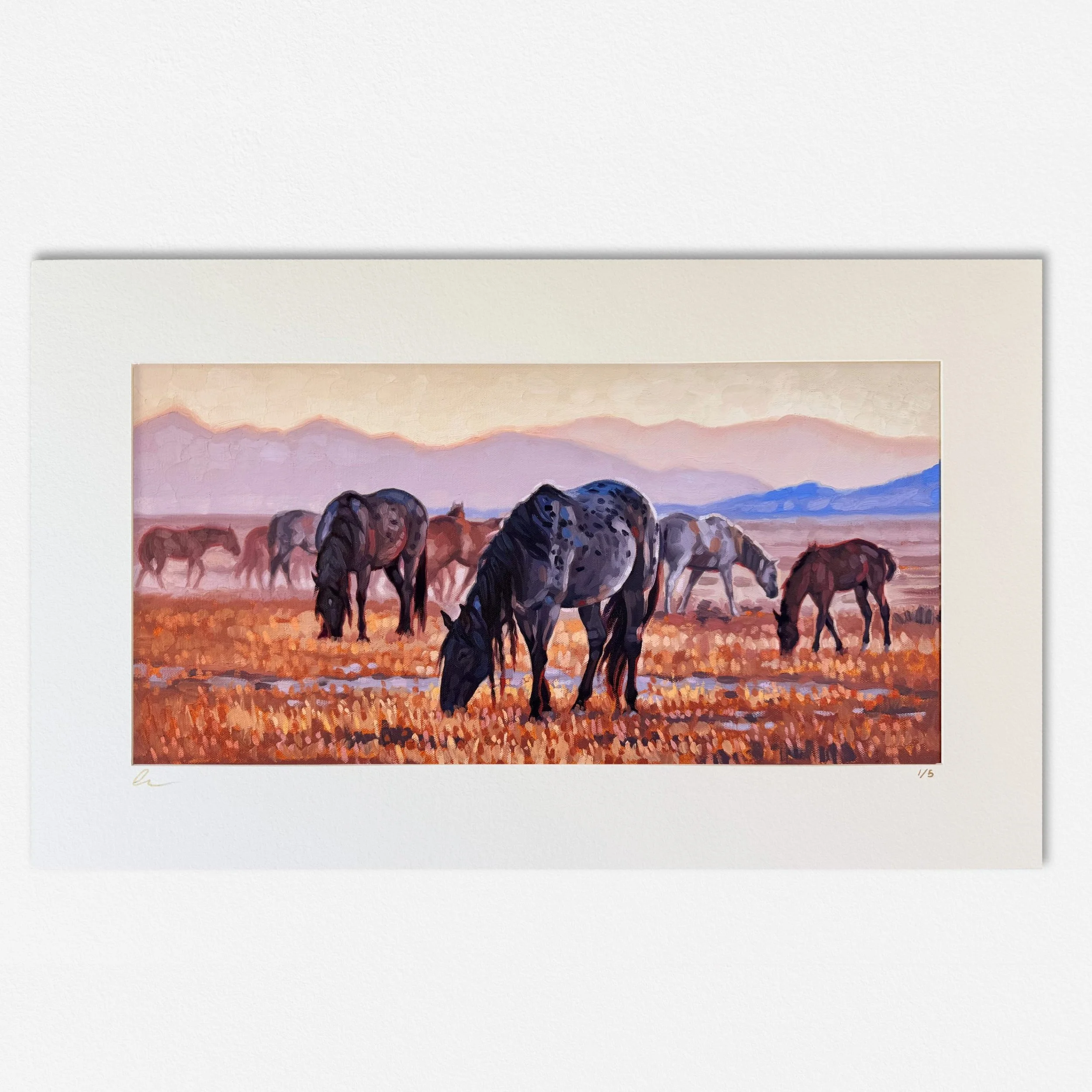 Solace matted square.jpg