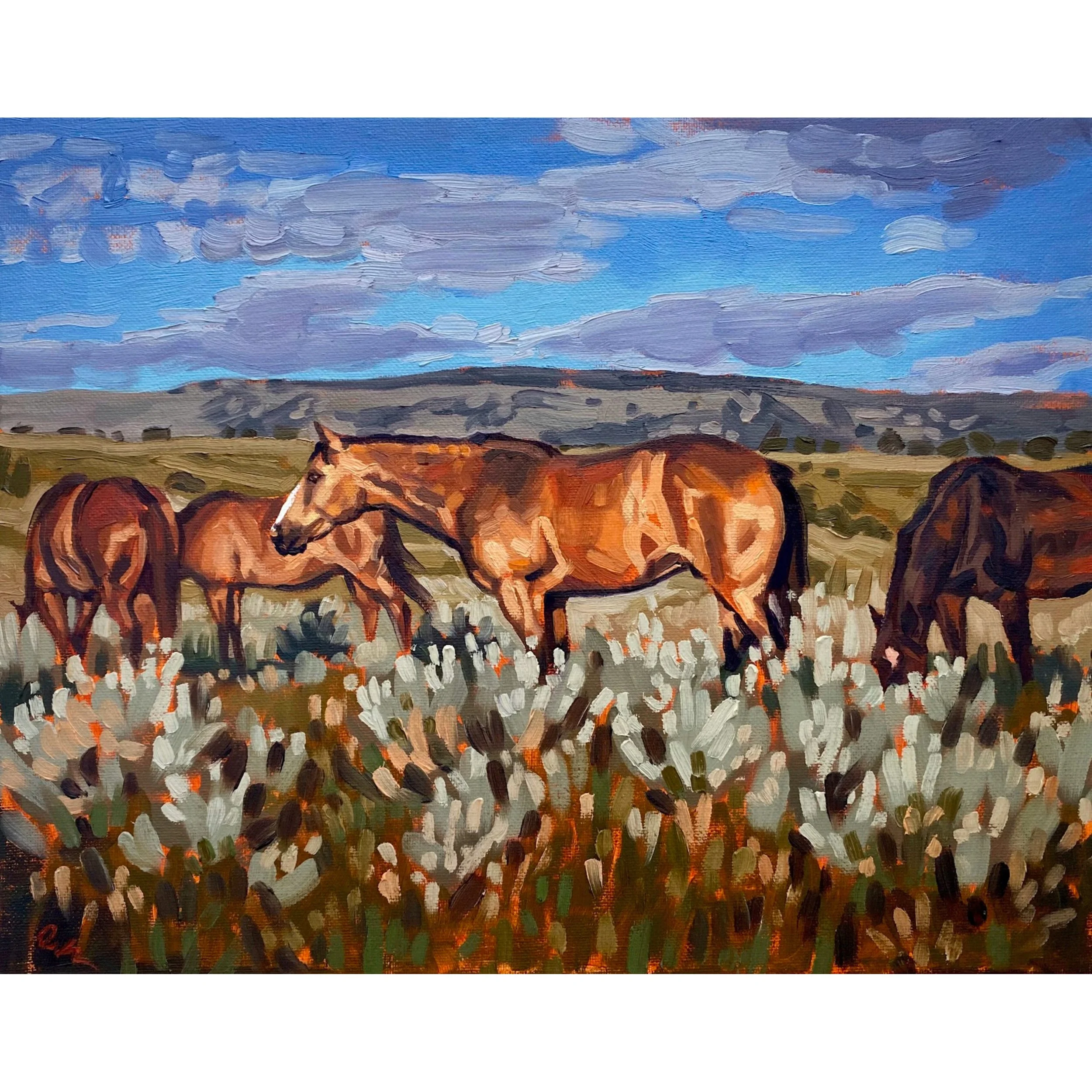 after the rain square.jpg