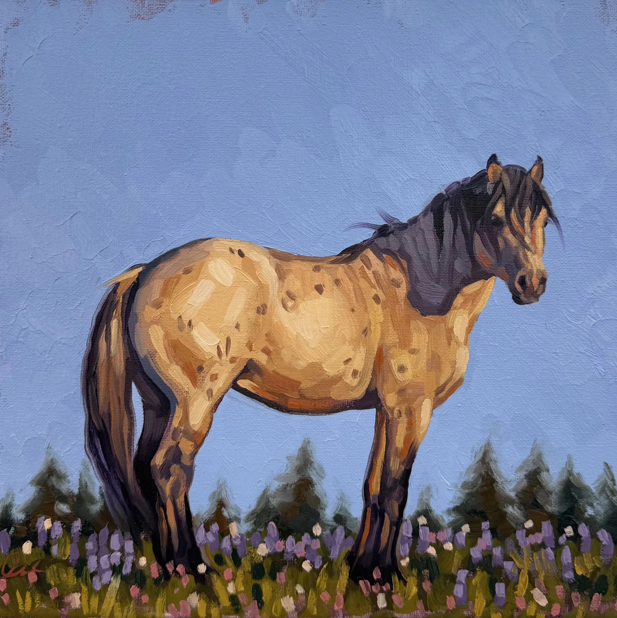 Roan Gold