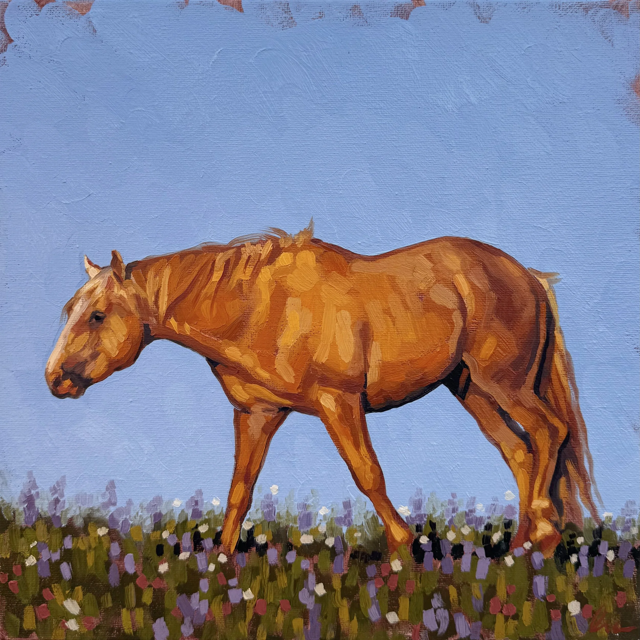 Palomino Gold