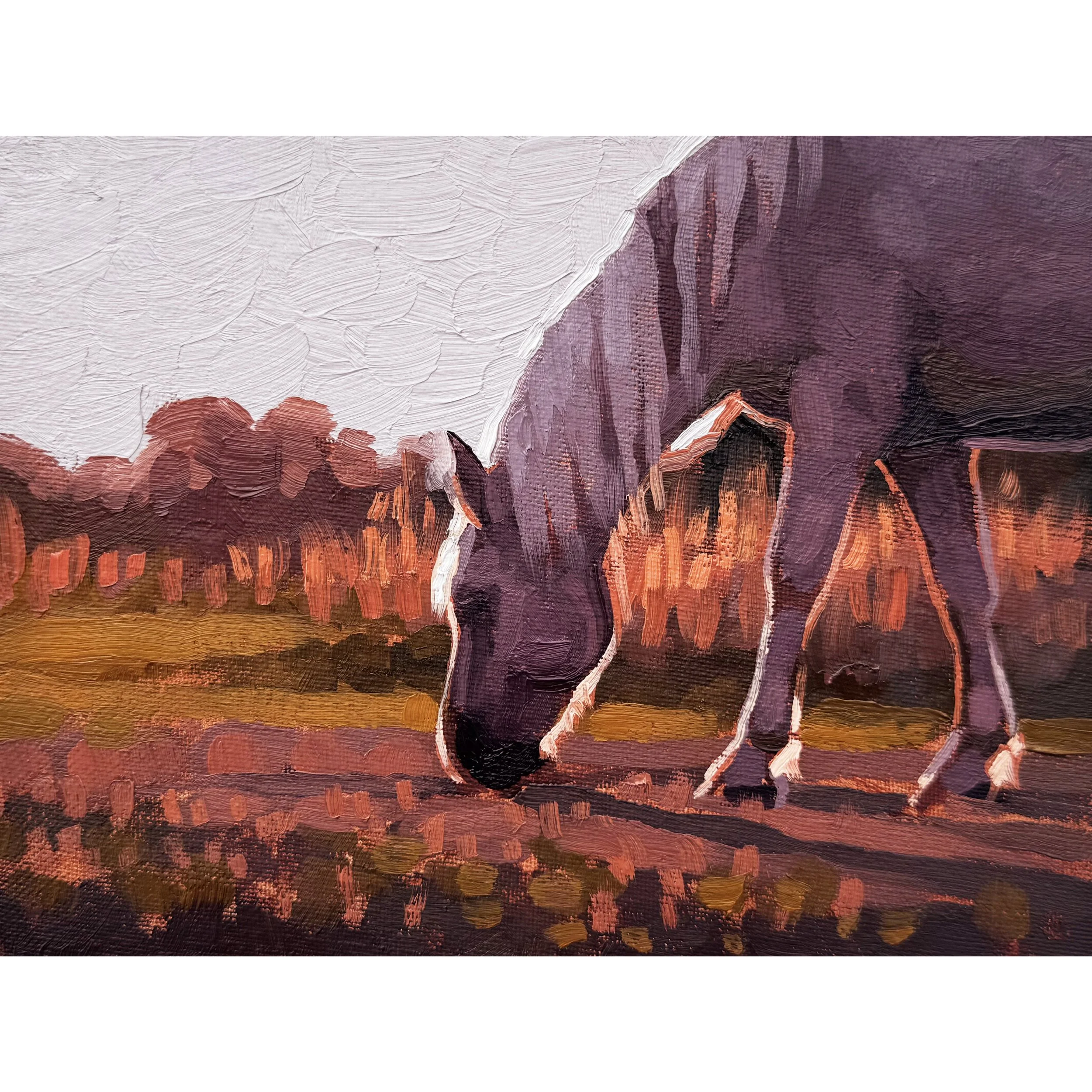 Grazing