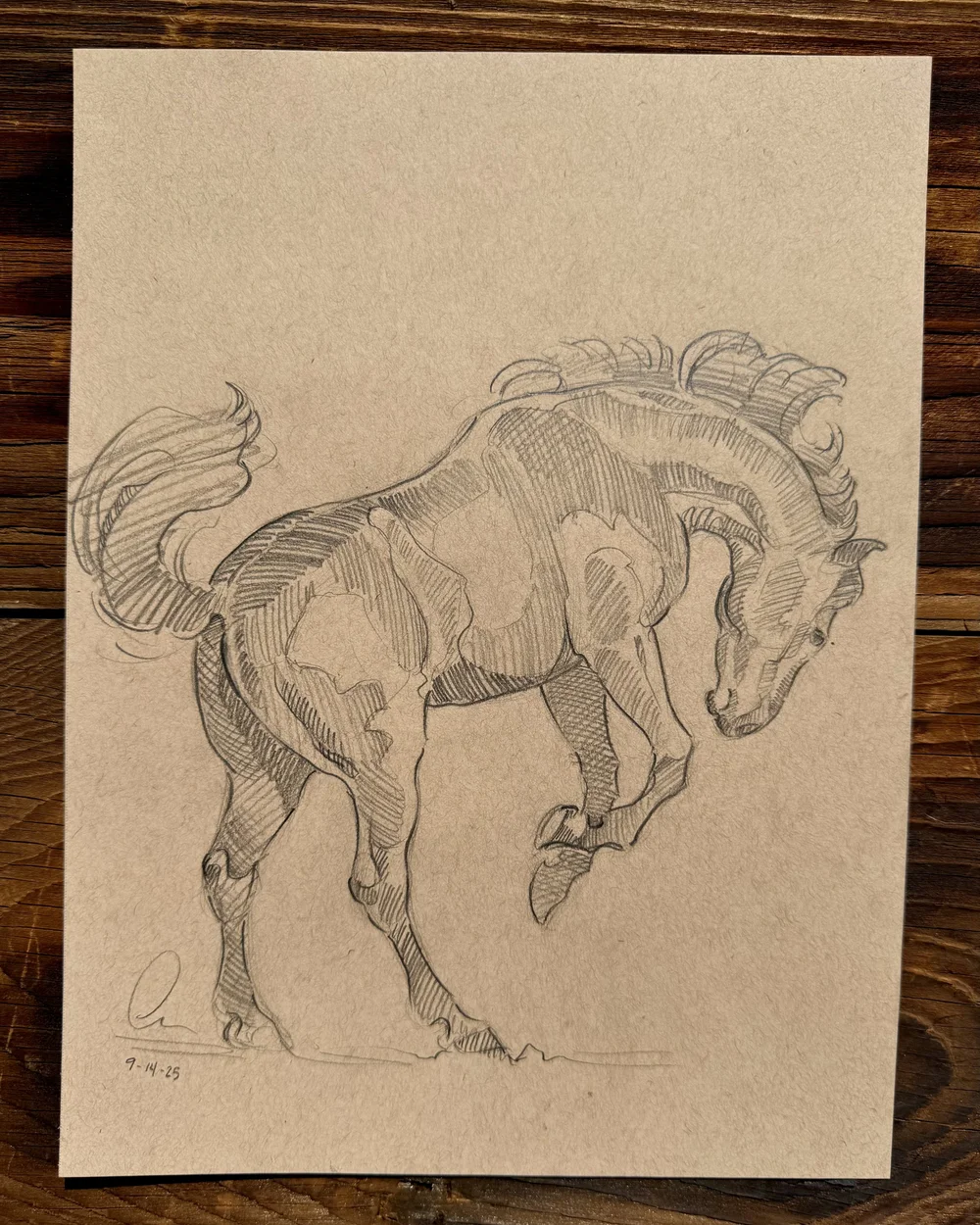 Horse Art — Sarah Dean Arts, image size:1000x1250