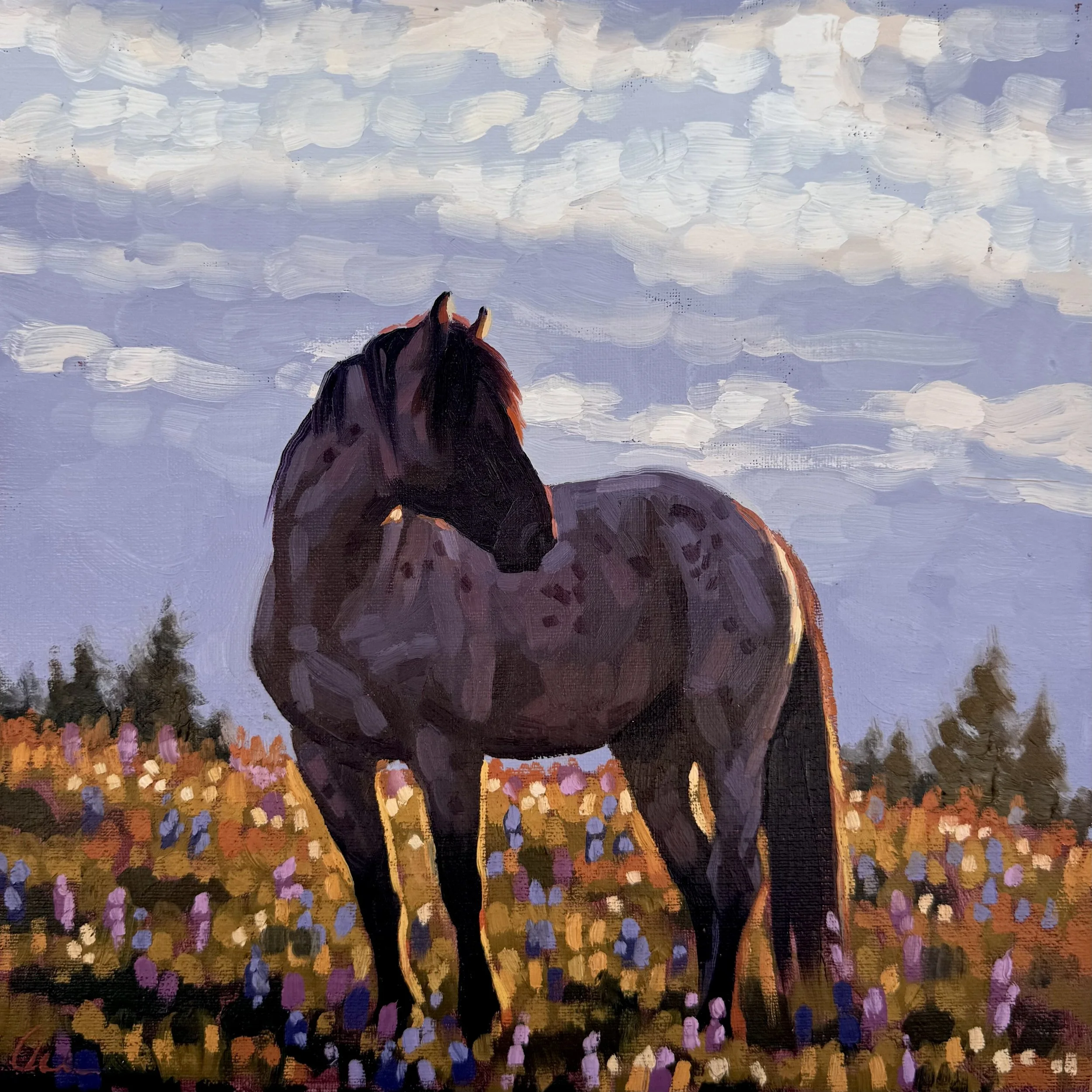 Wildflower Bloom
