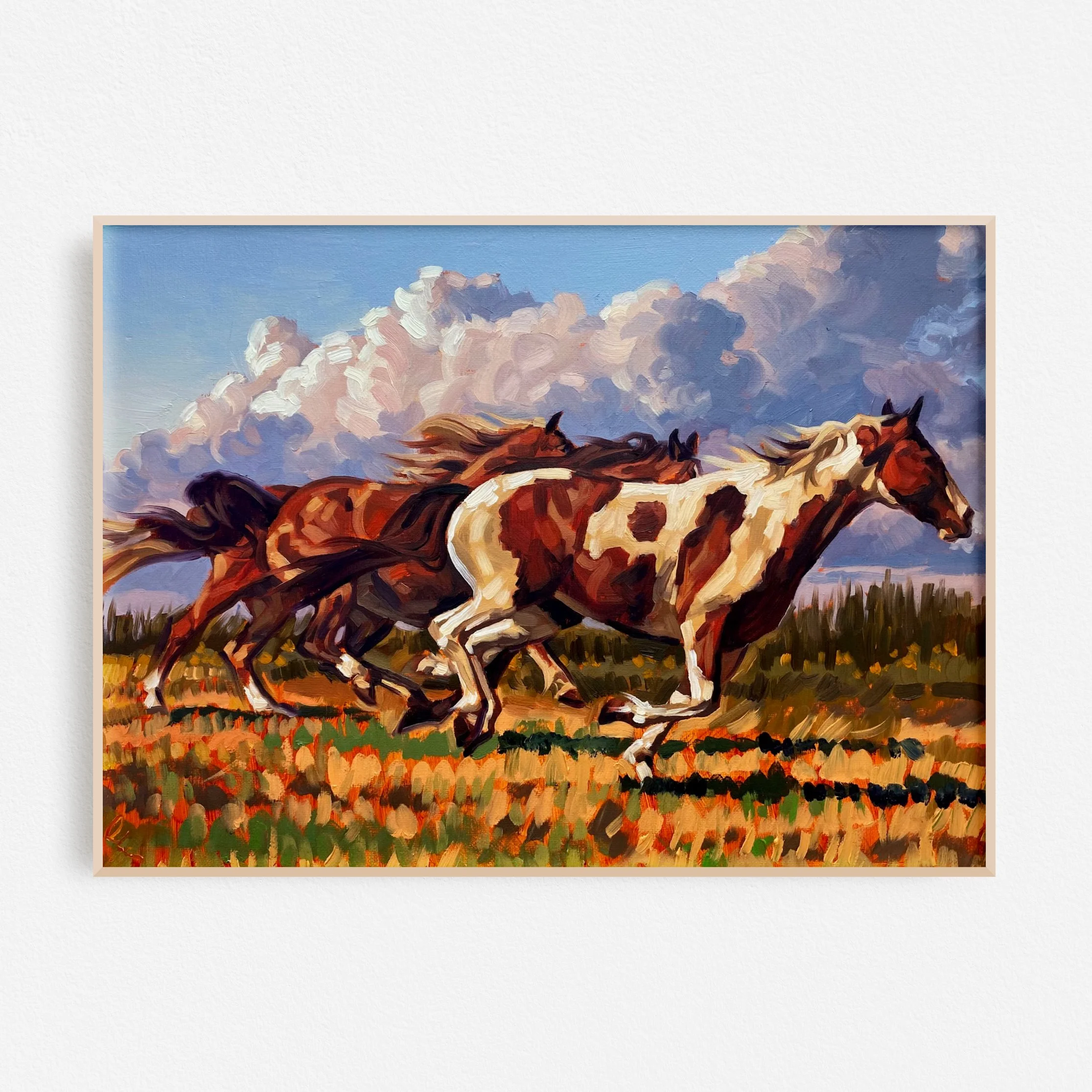 Chasing The Wind Framed Cropped.jpg