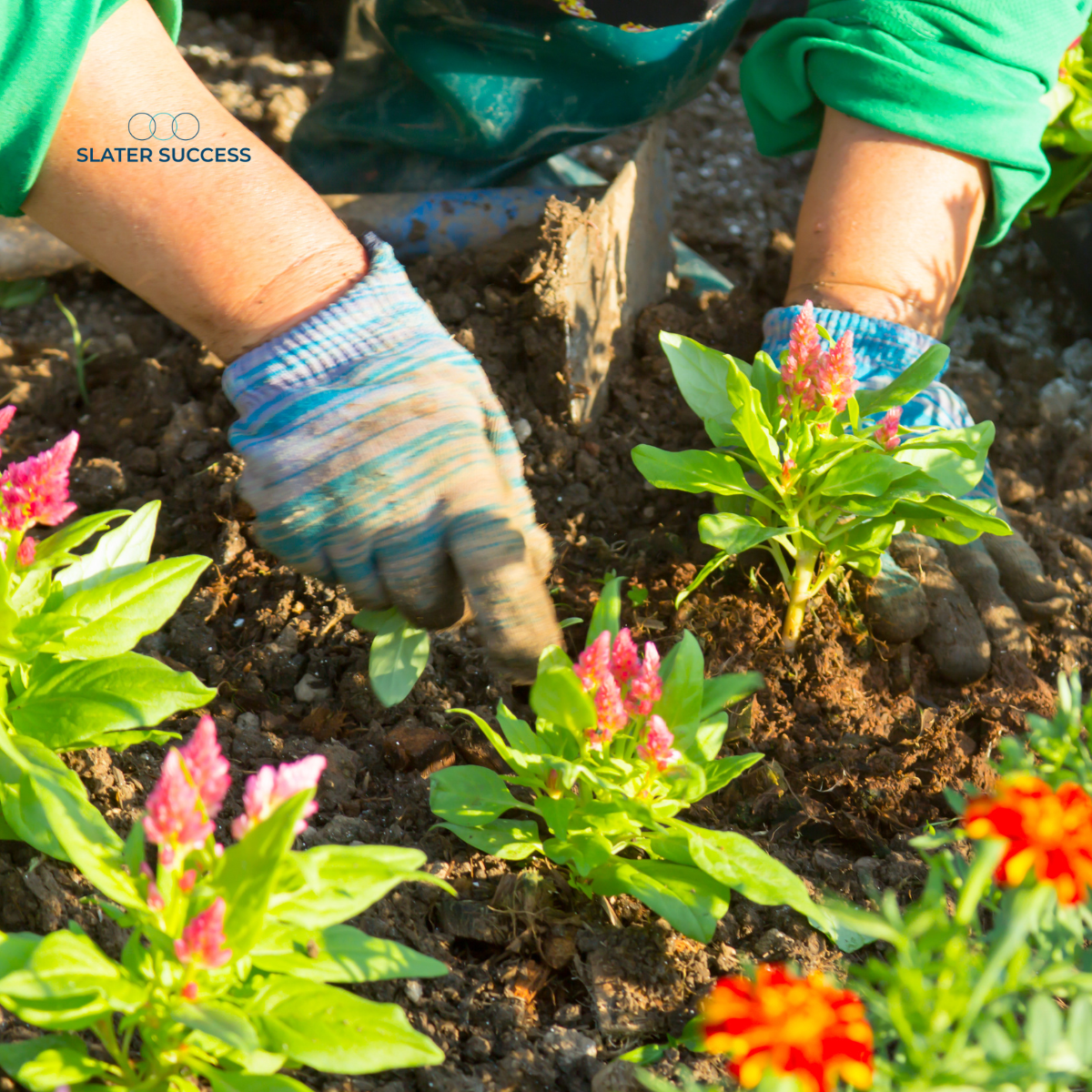 The Best CEOs Think Like Gardeners: Prune, Plant, Harvest = Leadership Lessons