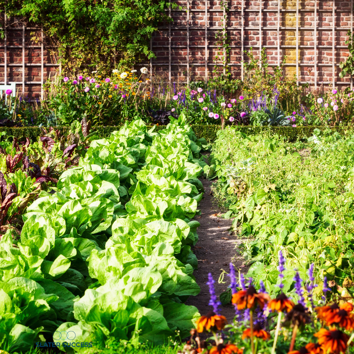 What Will Your Garden Look Like in Ten Years?
