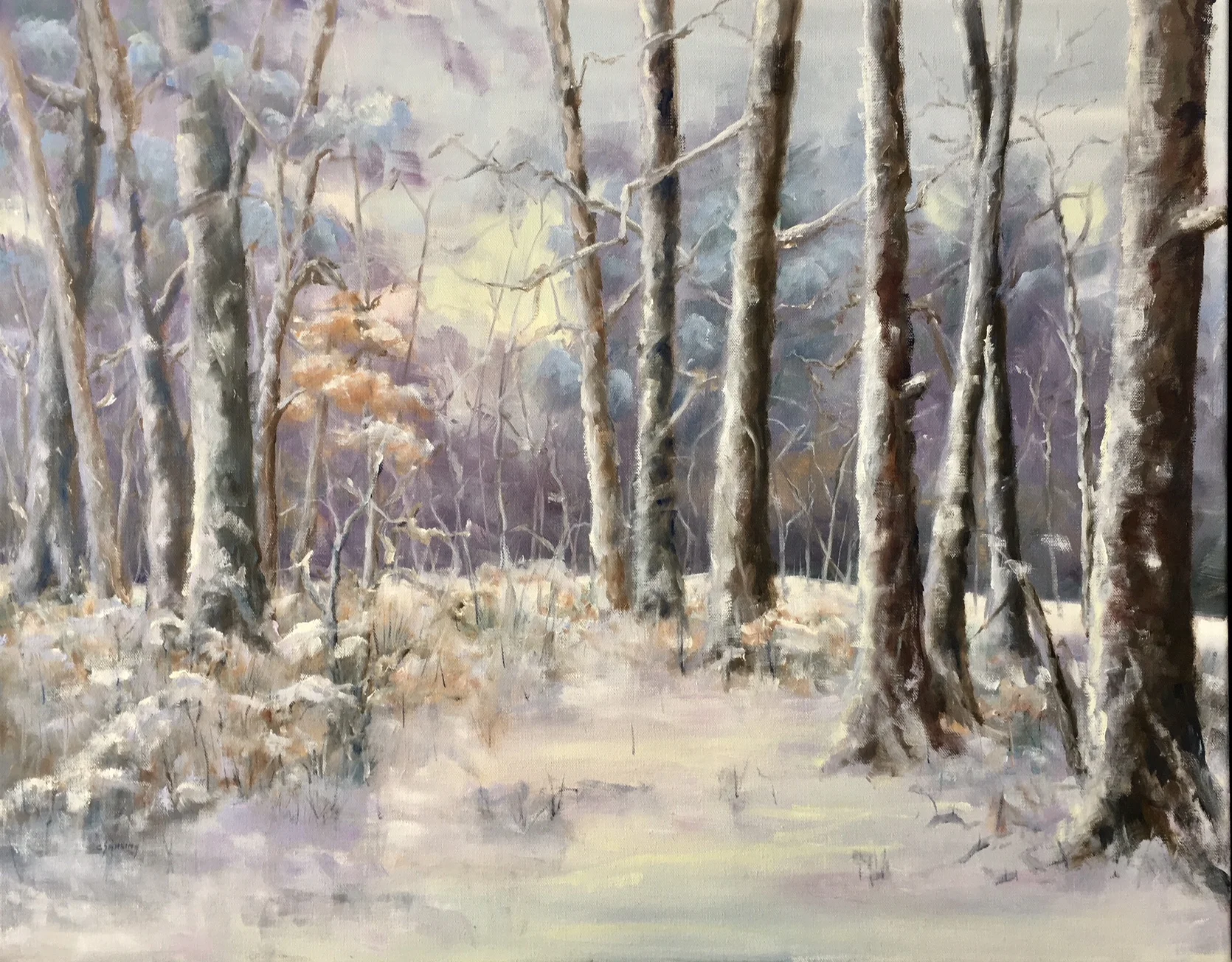 January Snow in my Garden