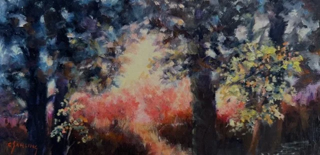 6 x 12 Garden for Trolls.jpg