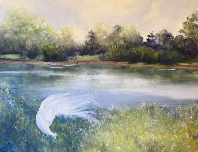 16 x 20 Paris Peacock (Bois de Vincennes).jpg