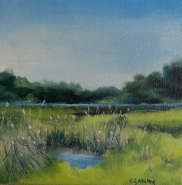 8 x 8 a Bit Swampy.jpg