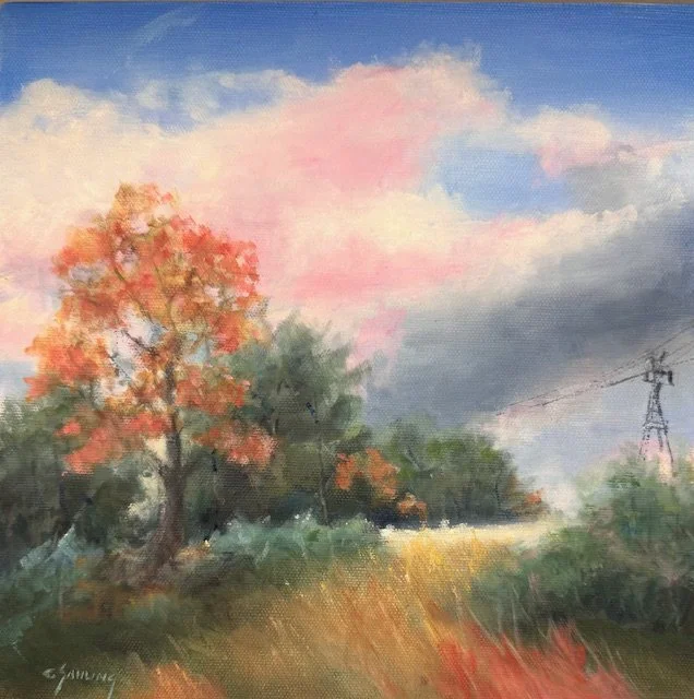 10 x 10 CV Sunset sold.jpg