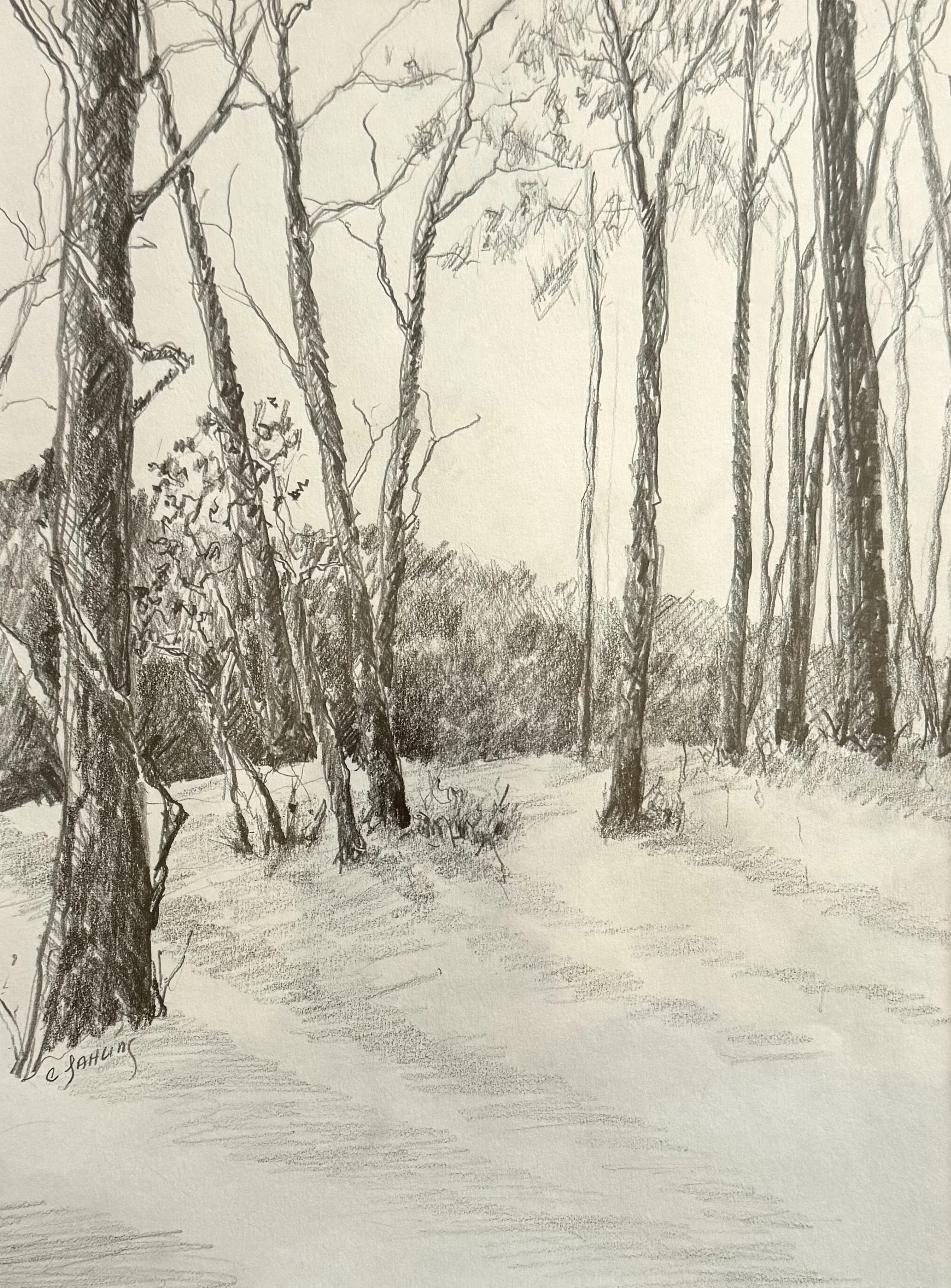 Winter