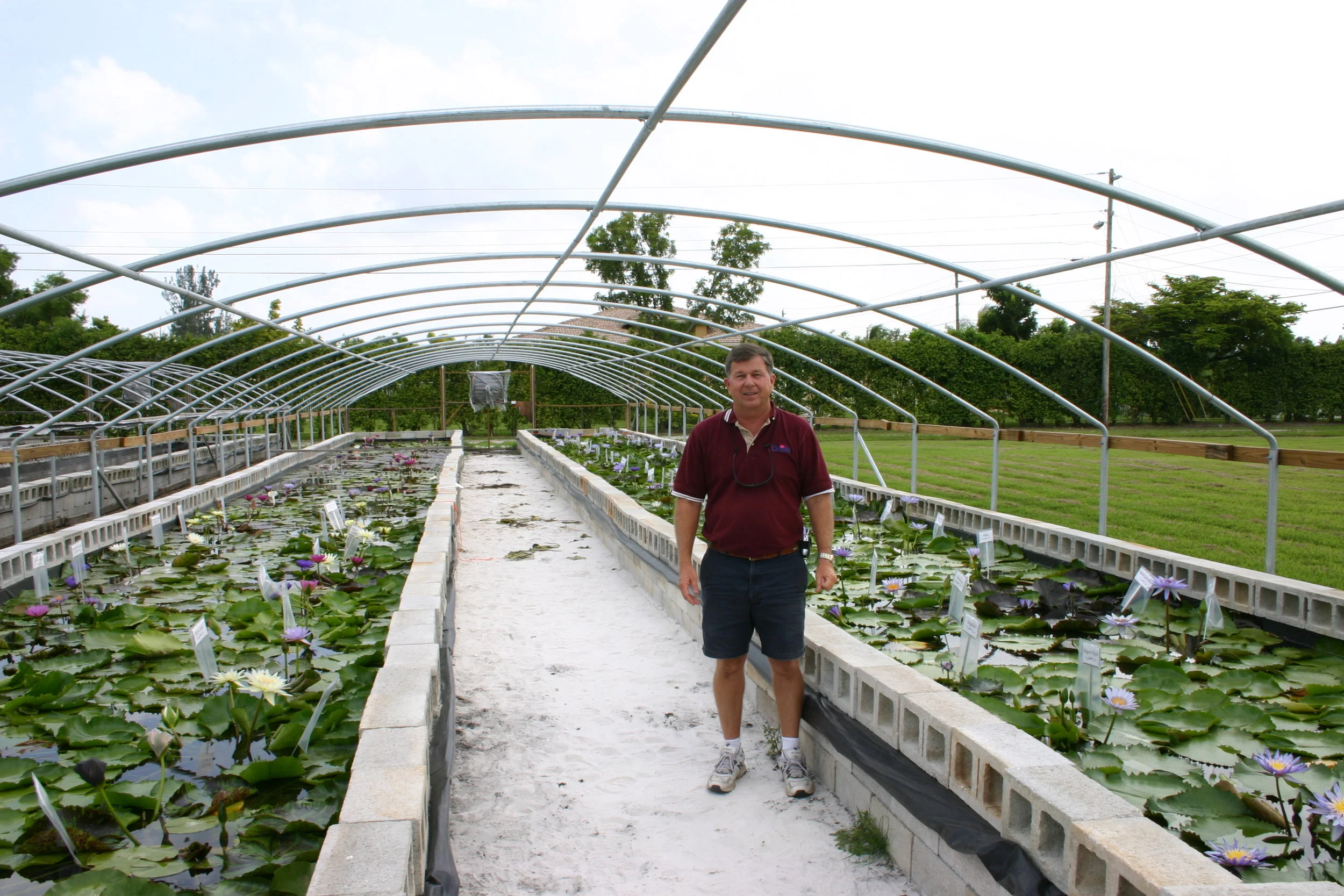 About Us — Florida Aquatic Nurseries
