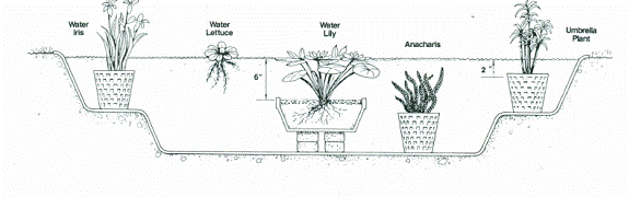 clip_image002_001.gif